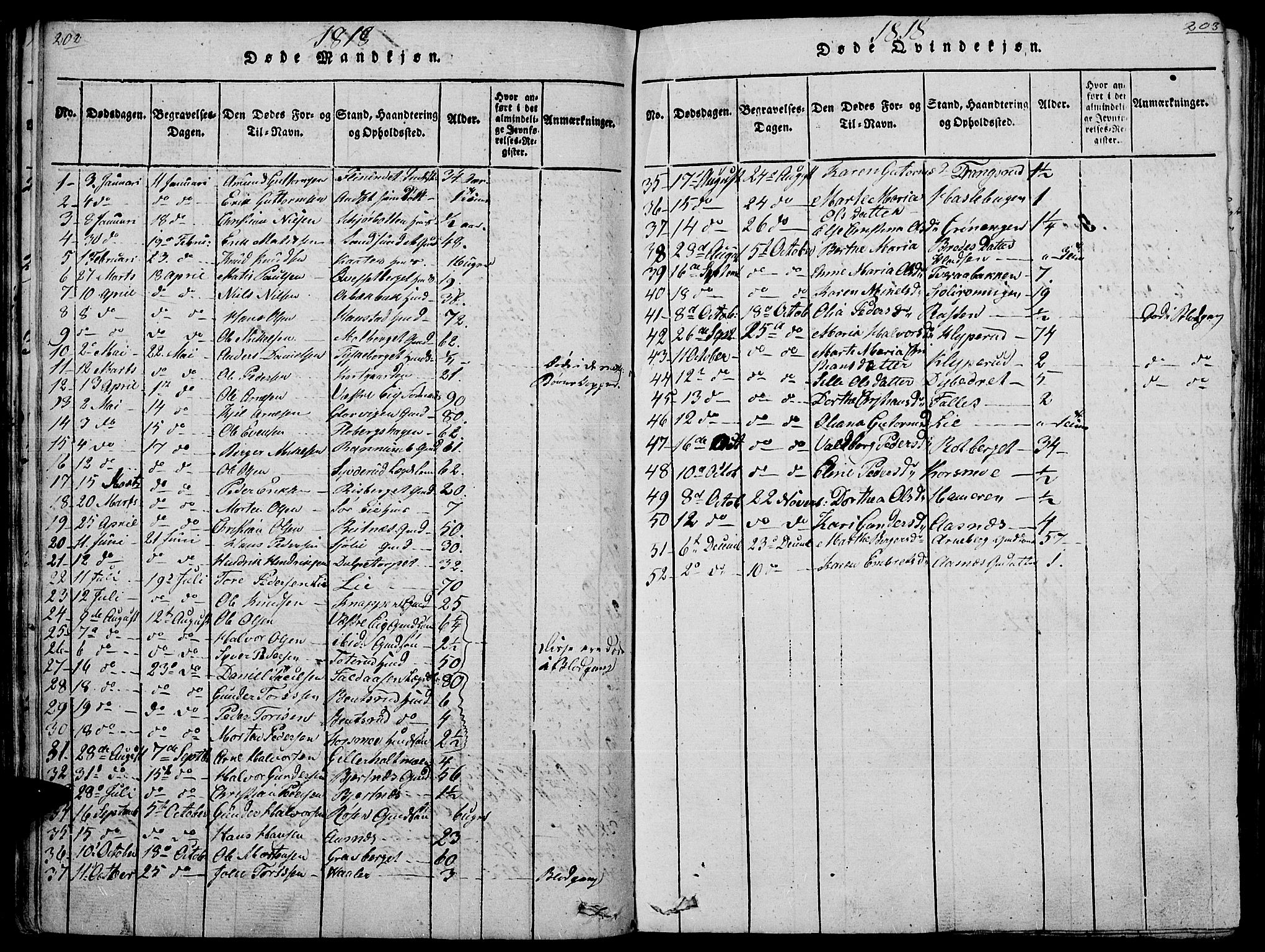 Hof prestekontor, AV/SAH-PREST-038/H/Ha/Haa/L0005: Parish register (official) no. 5, 1816-1822, p. 202-203