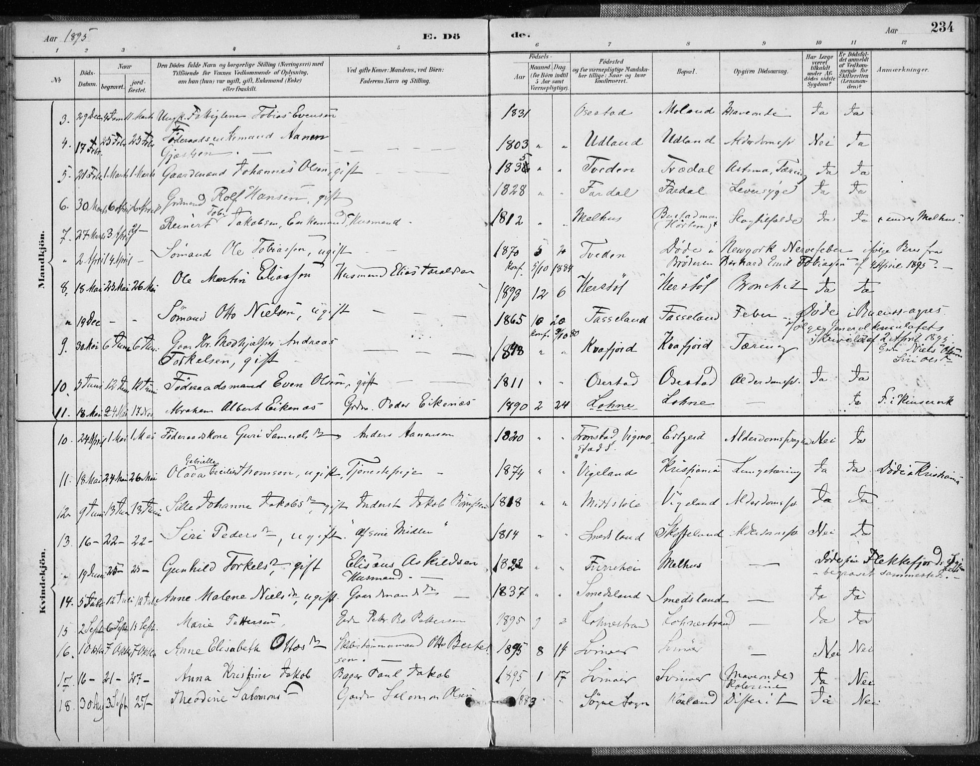 Sør-Audnedal sokneprestkontor, AV/SAK-1111-0039/F/Fa/Fab/L0010: Parish register (official) no. A 10, 1892-1913, p. 234