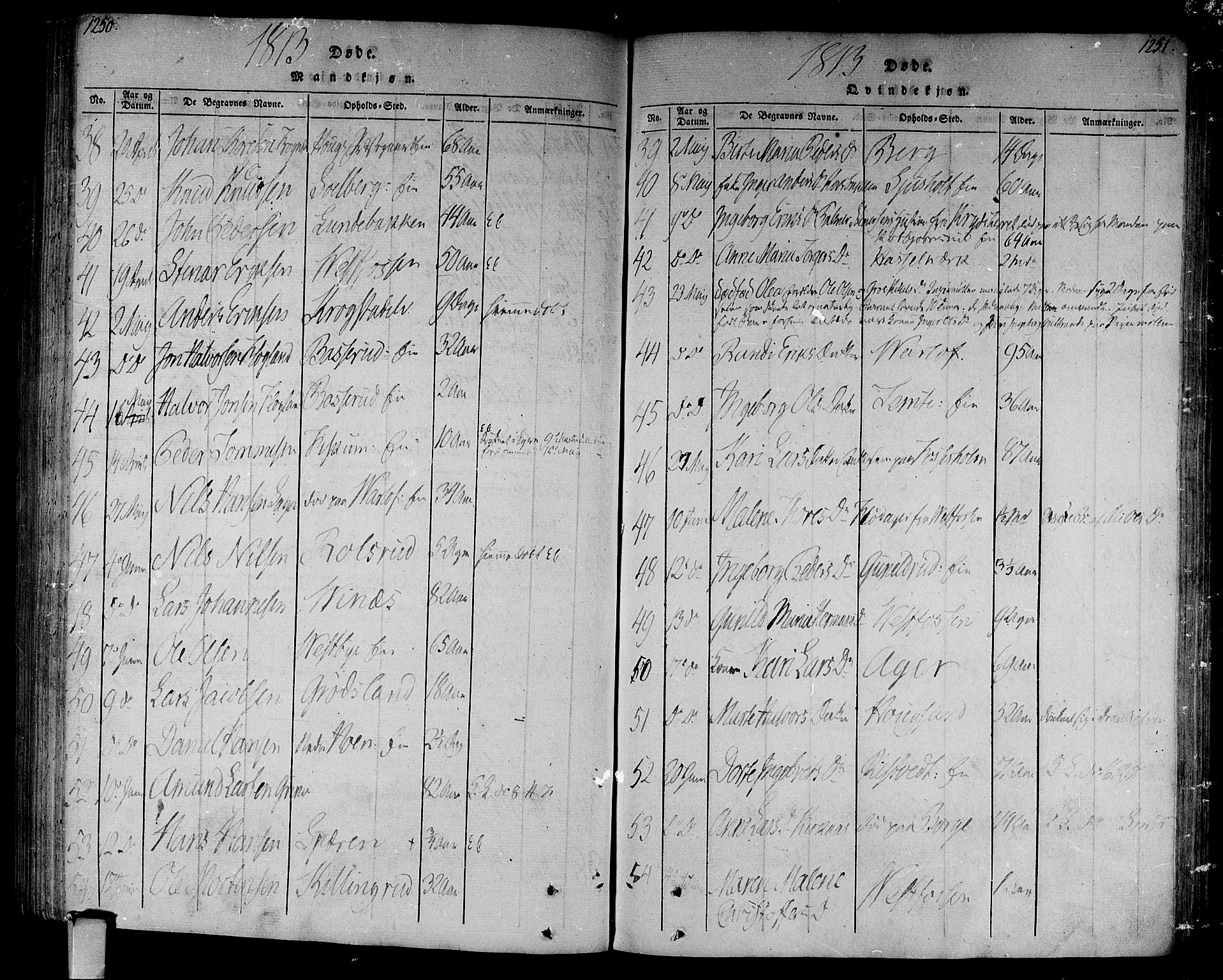 Eiker kirkebøker, AV/SAKO-A-4/F/Fa/L0010: Parish register (official) no. I 10, 1806-1815, p. 1250-1251