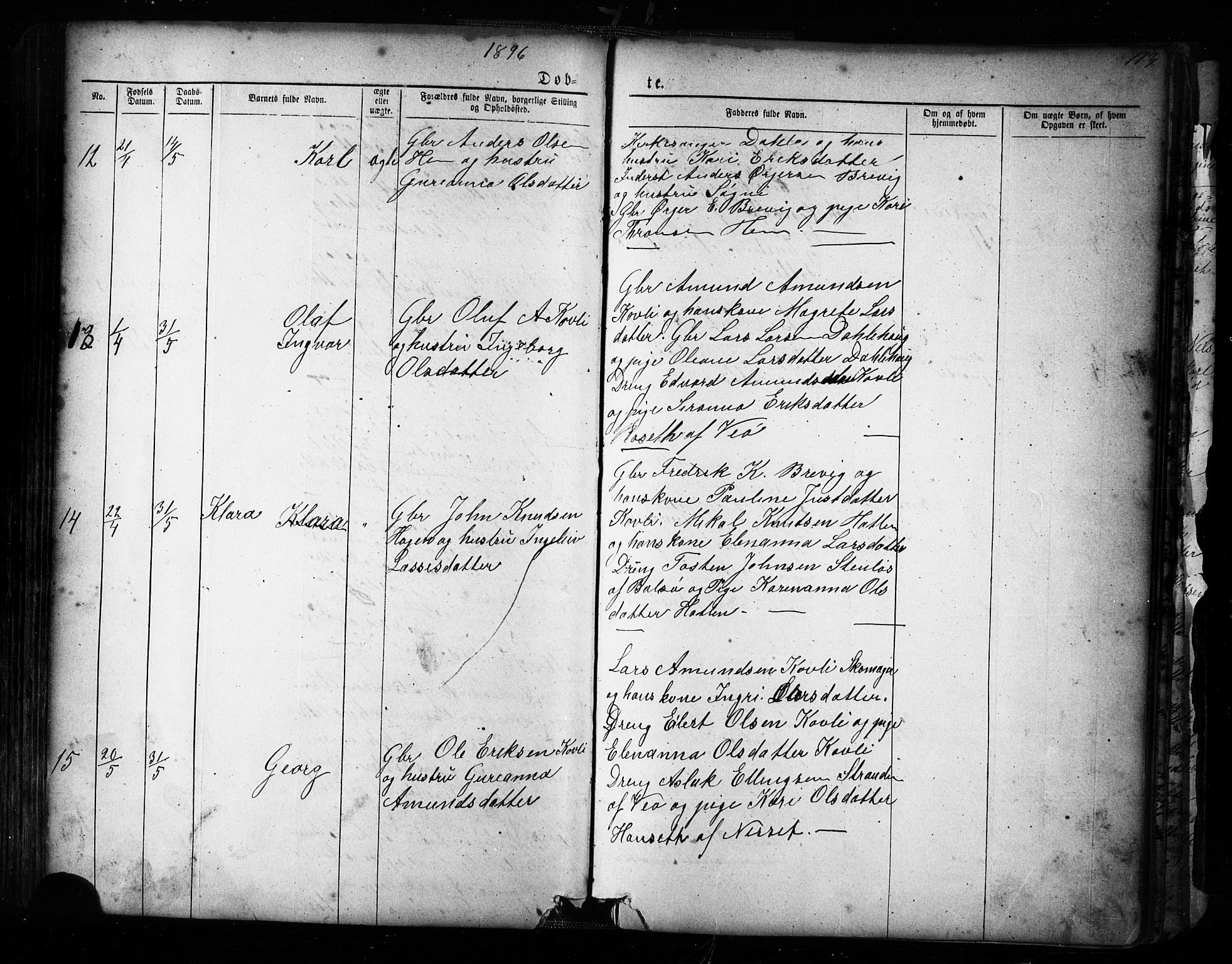 Ministerialprotokoller, klokkerbøker og fødselsregistre - Møre og Romsdal, AV/SAT-A-1454/545/L0588: Parish register (copy) no. 545C02, 1867-1902, p. 113