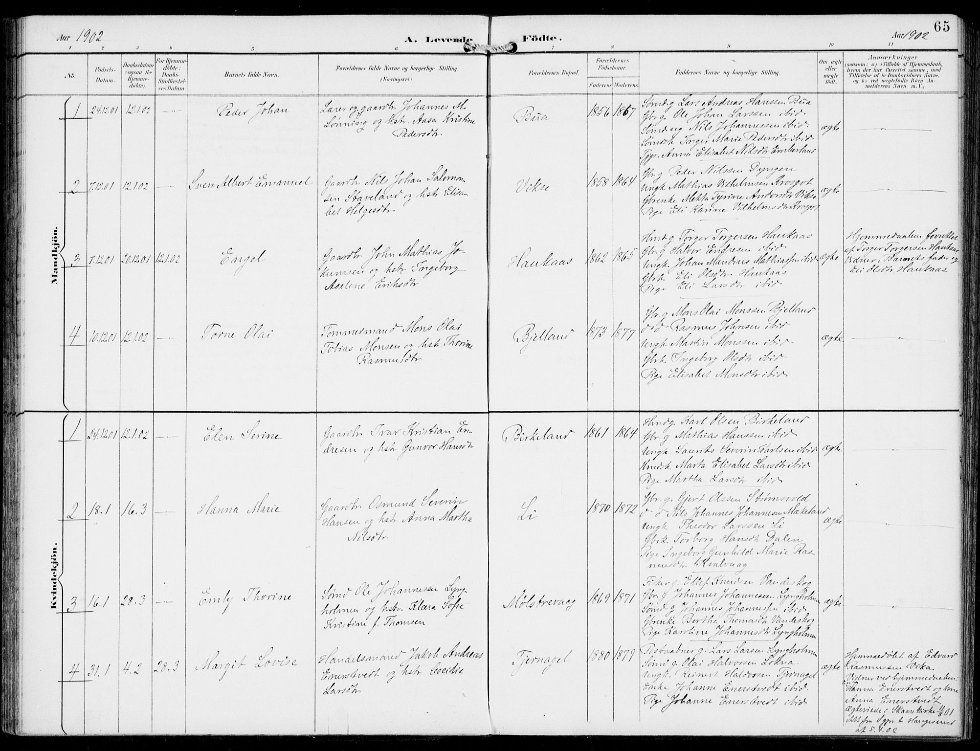 Sveio Sokneprestembete, AV/SAB-A-78501/H/Haa: Parish register (official) no. B  3, 1894-1906, p. 65