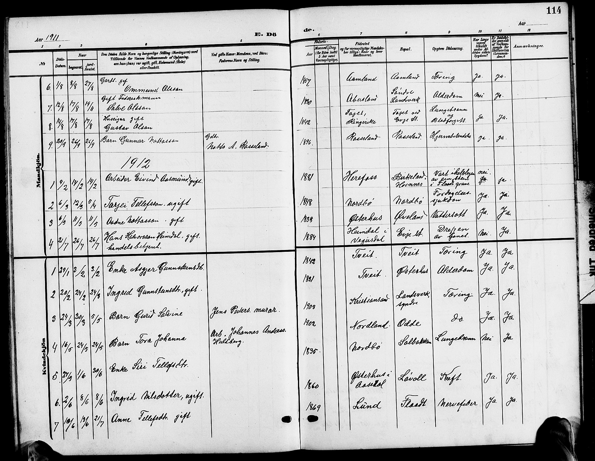 Evje sokneprestkontor, AV/SAK-1111-0008/F/Fb/Fba/L0004: Parish register (copy) no. B 4, 1899-1914, p. 114