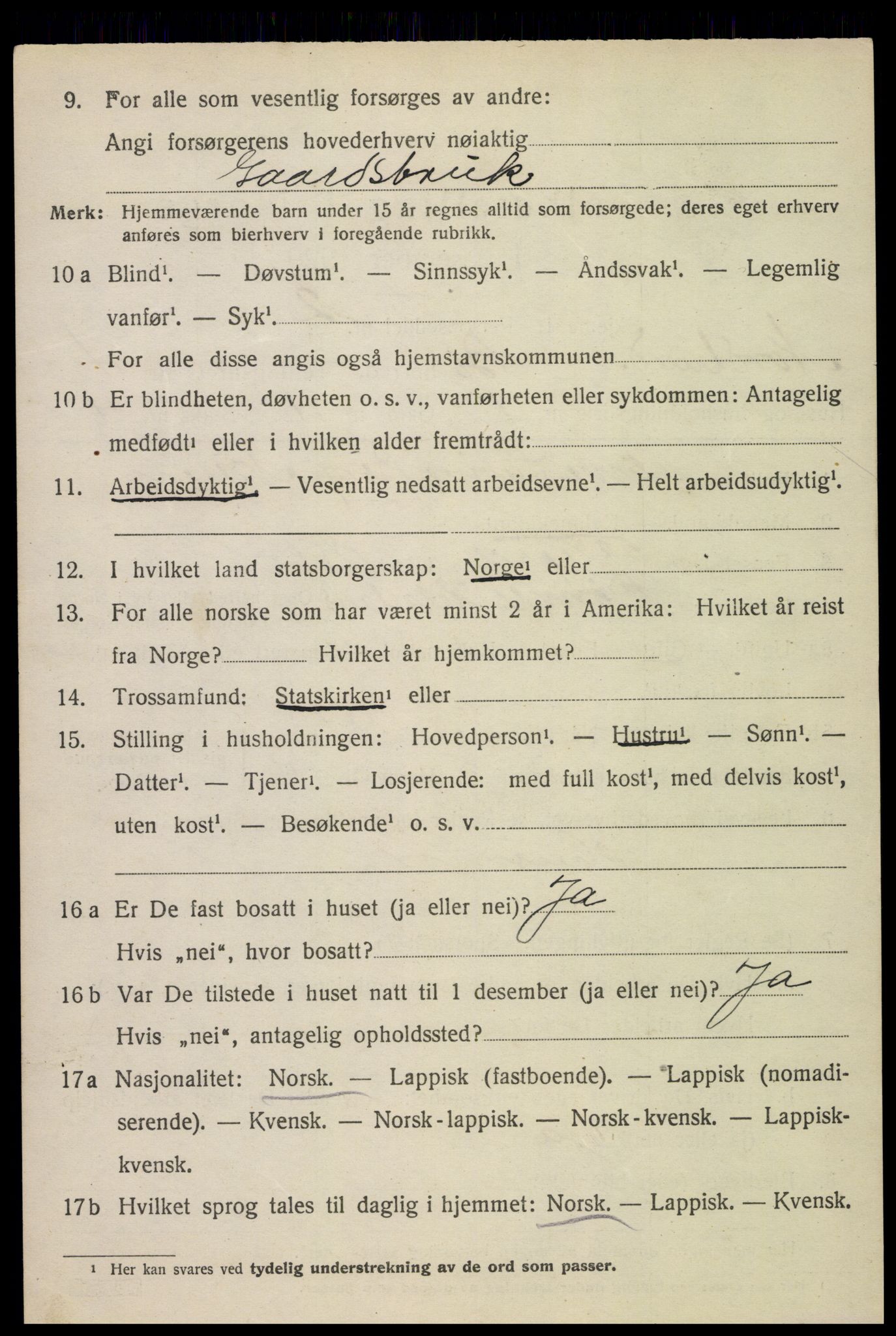 SAT, 1920 census for Bø, 1920, p. 3185