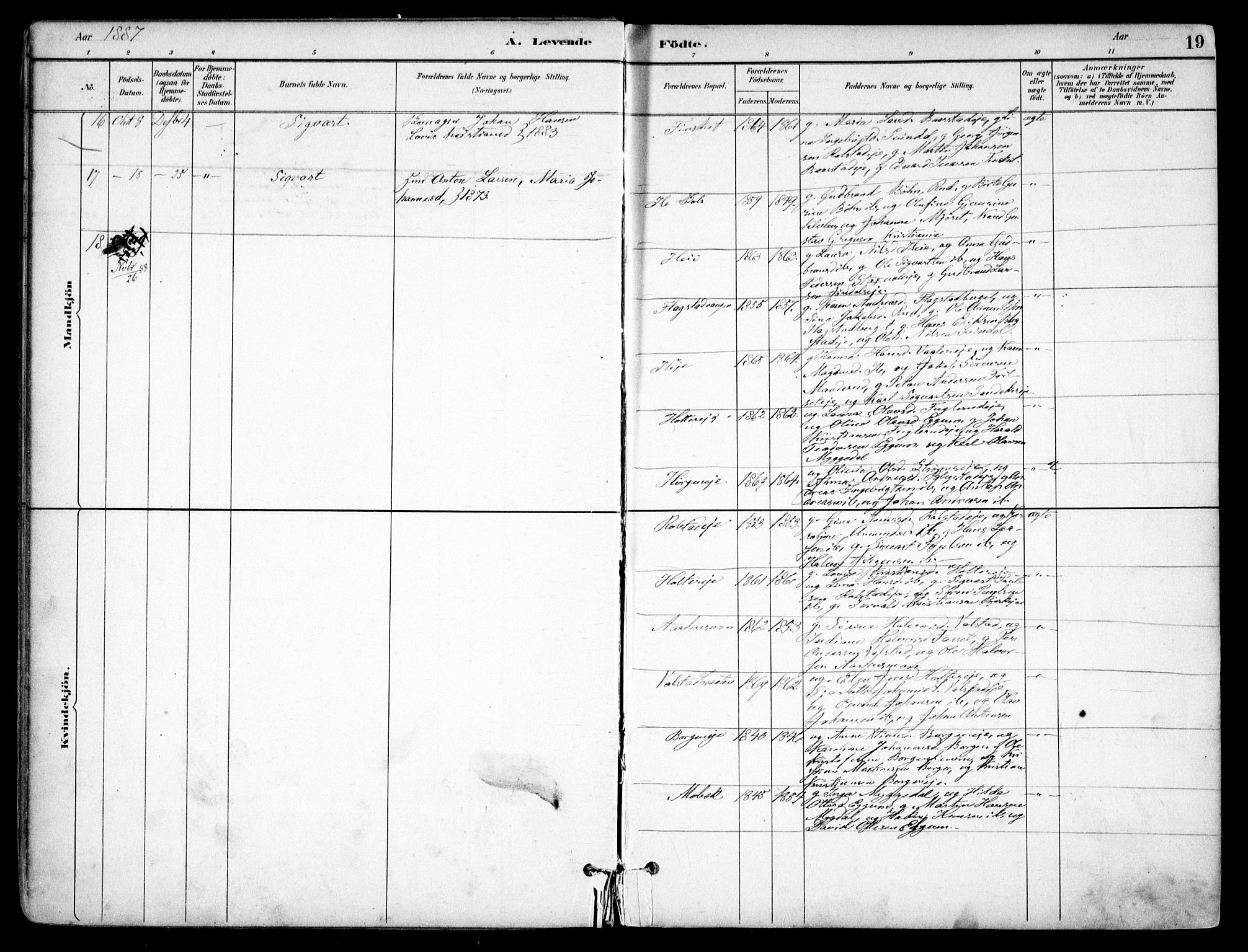 Nes prestekontor Kirkebøker, AV/SAO-A-10410/F/Fb/L0002: Parish register (official) no. II 2, 1883-1918, p. 18-19