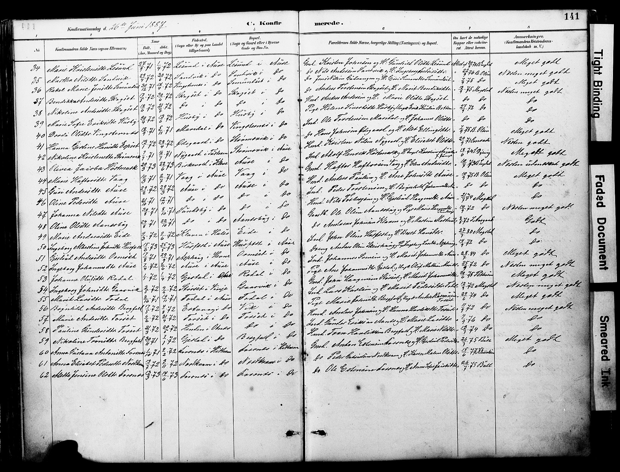 Ministerialprotokoller, klokkerbøker og fødselsregistre - Møre og Romsdal, AV/SAT-A-1454/578/L0907: Parish register (official) no. 578A06, 1887-1904, p. 141