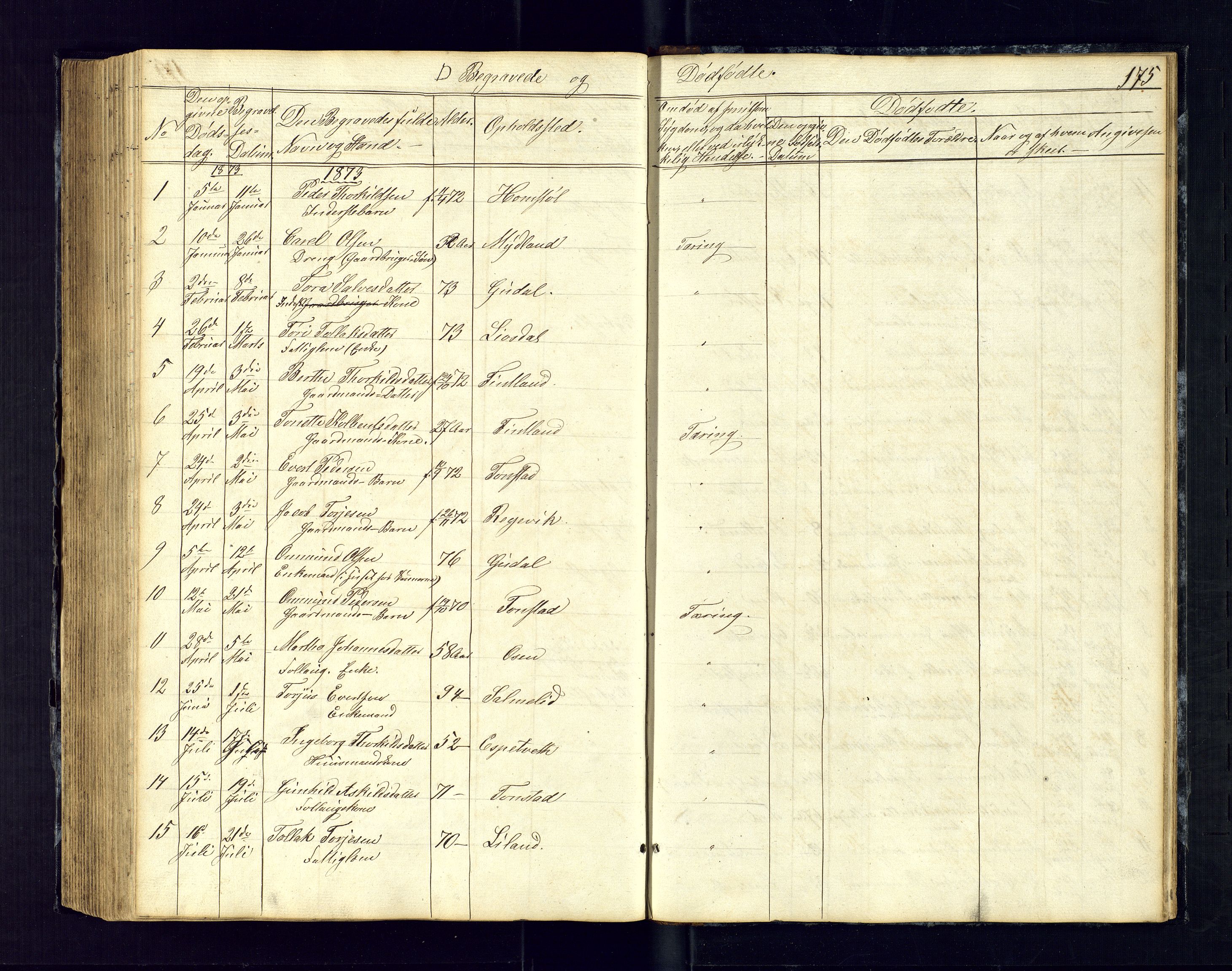 Sirdal sokneprestkontor, SAK/1111-0036/F/Fb/Fbb/L0002: Parish register (copy) no. B-2, 1848-1878, p. 175