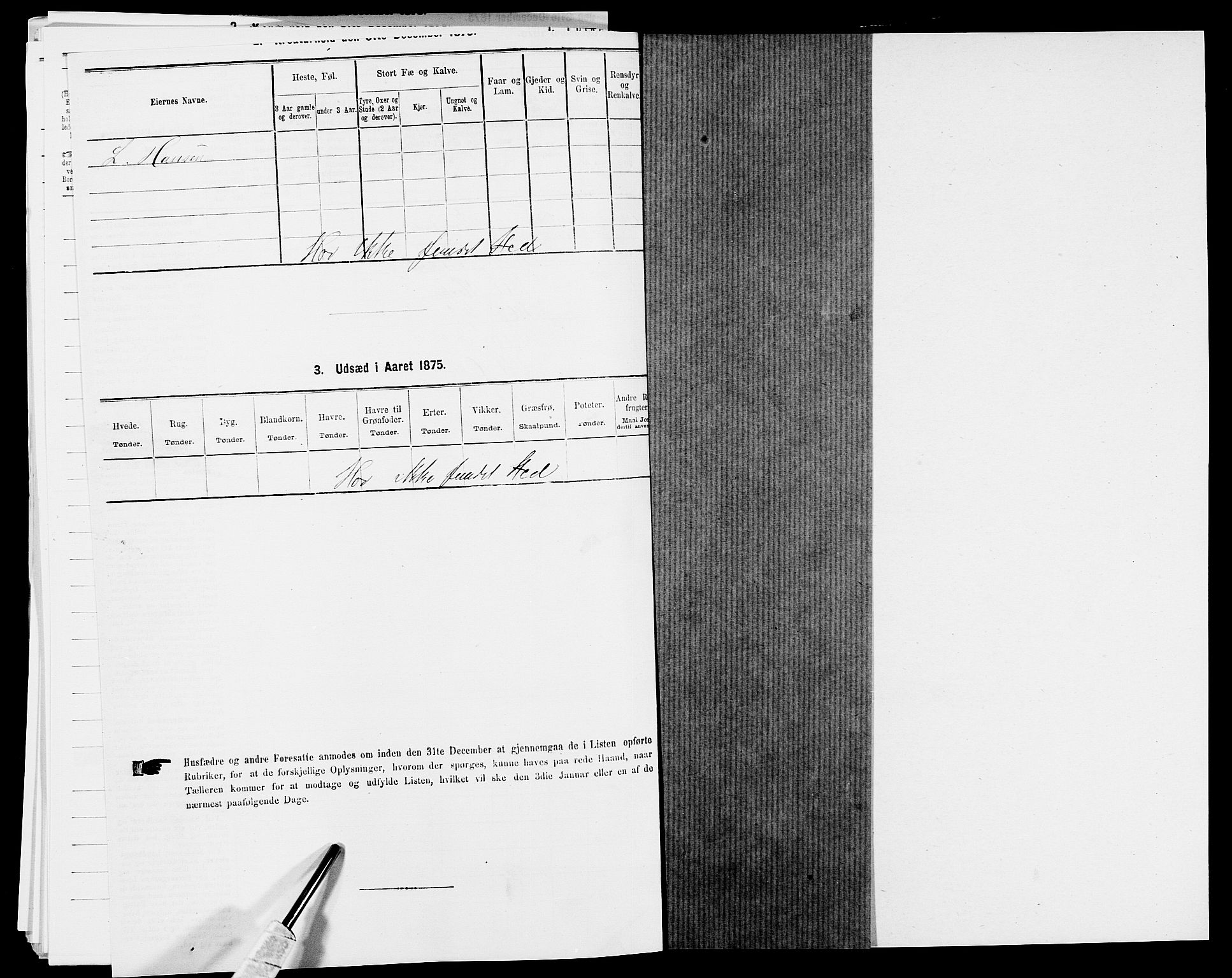 SAK, 1875 census for 1012P Oddernes, 1875, p. 273