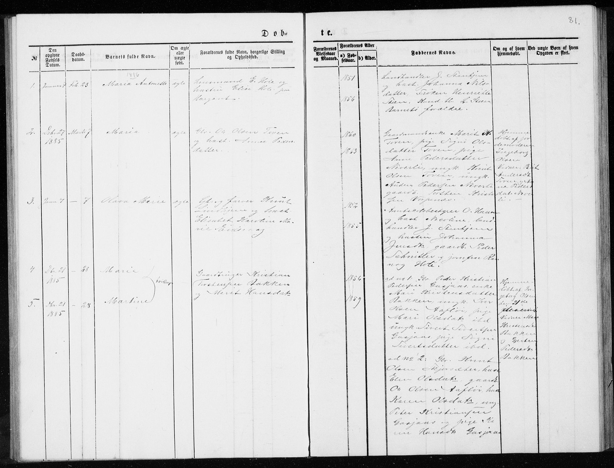 Ministerialprotokoller, klokkerbøker og fødselsregistre - Møre og Romsdal, AV/SAT-A-1454/551/L0631: Parish register (copy) no. 551C03, 1886-1894, p. 81