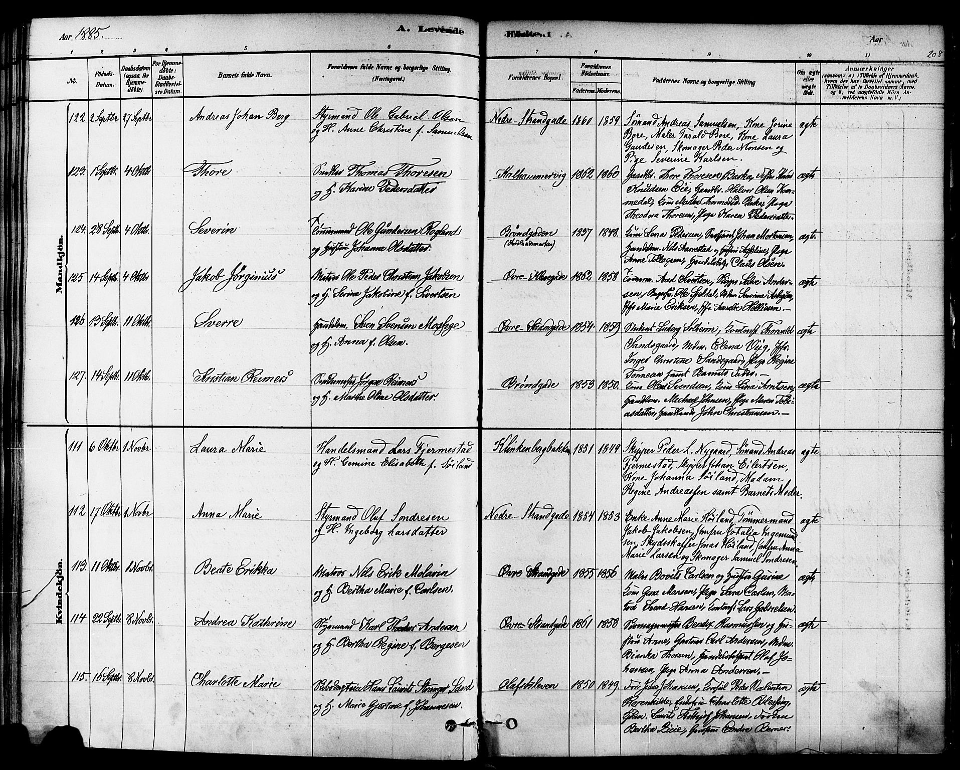 Domkirken sokneprestkontor, AV/SAST-A-101812/001/30/30BA/L0026: Parish register (official) no. A 25, 1878-1889, p. 208