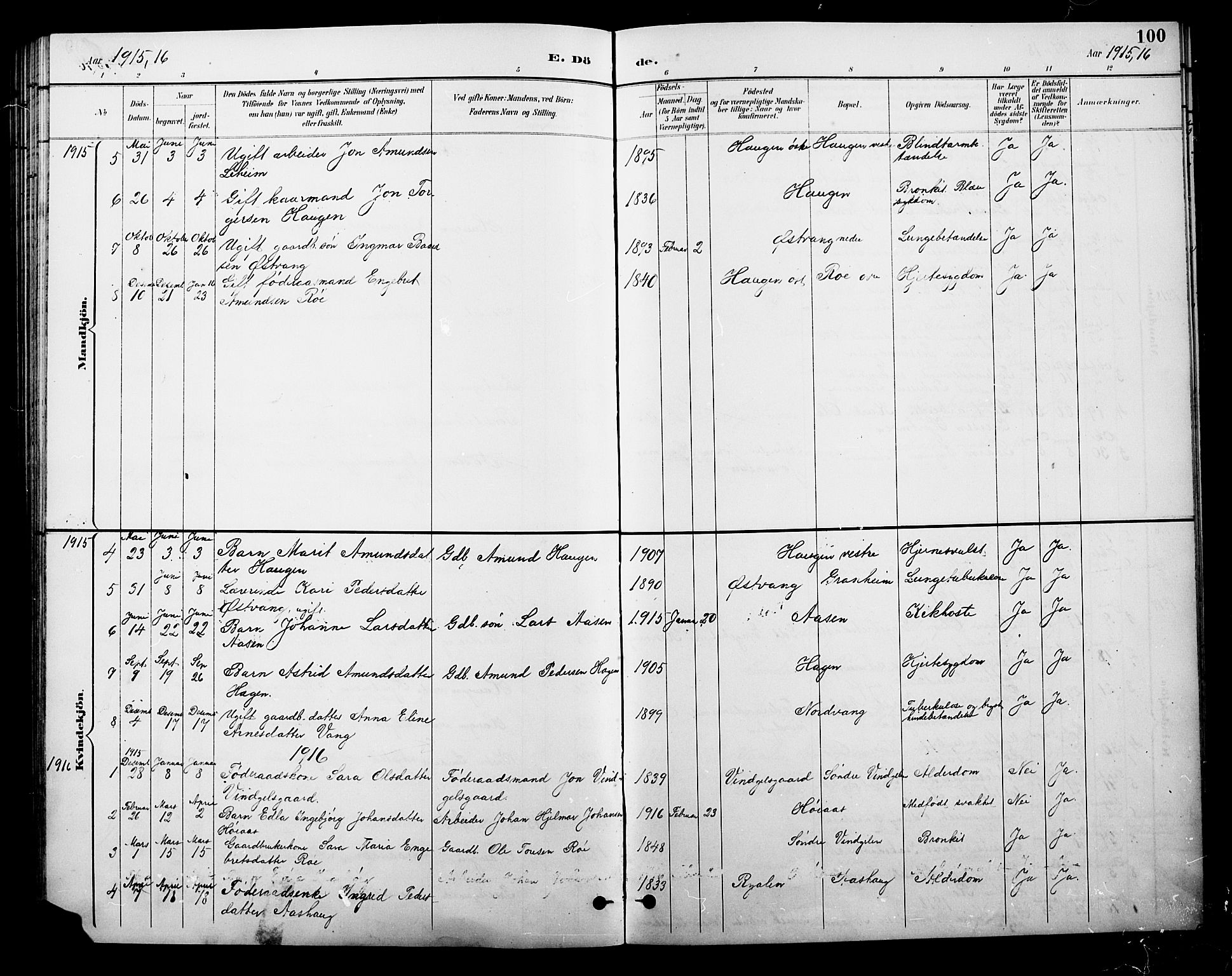 Tolga prestekontor, SAH/PREST-062/L/L0010: Parish register (copy) no. 10, 1894-1918, p. 100