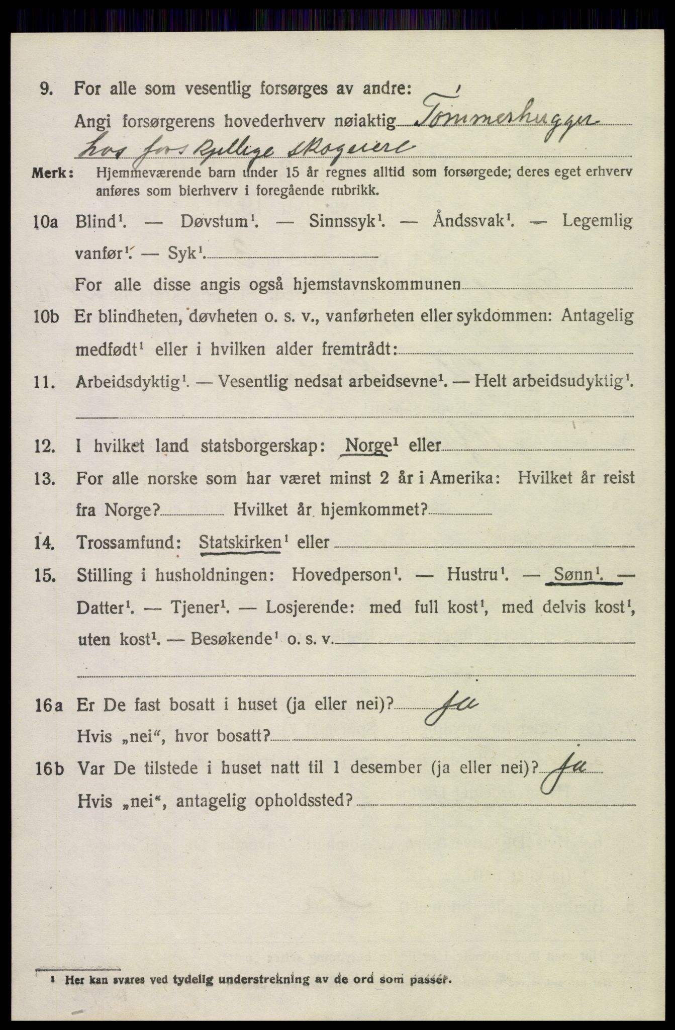 SAH, 1920 census for Trysil, 1920, p. 15220