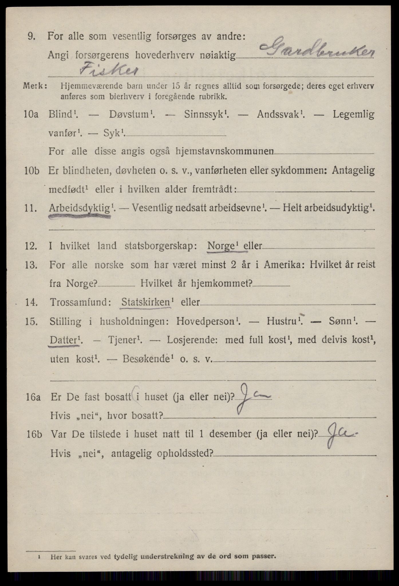 SAT, 1920 census for Hustad, 1920, p. 738