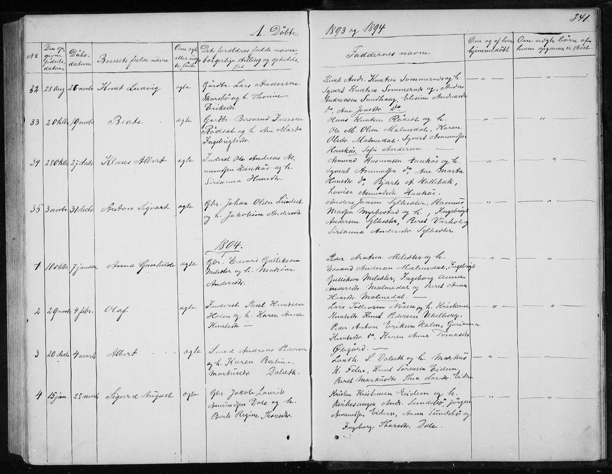 Ministerialprotokoller, klokkerbøker og fødselsregistre - Møre og Romsdal, SAT/A-1454/565/L0754: Parish register (copy) no. 565C03, 1870-1896, p. 341