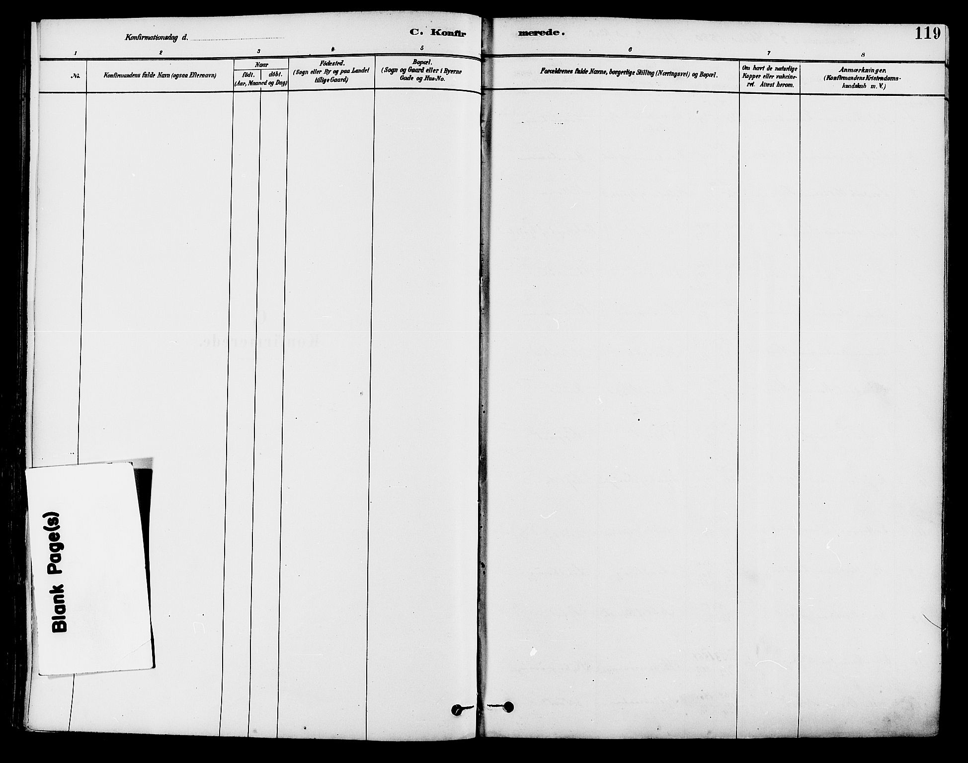 Brandval prestekontor, AV/SAH-PREST-034/H/Ha/Haa/L0002: Parish register (official) no. 2, 1880-1894, p. 119
