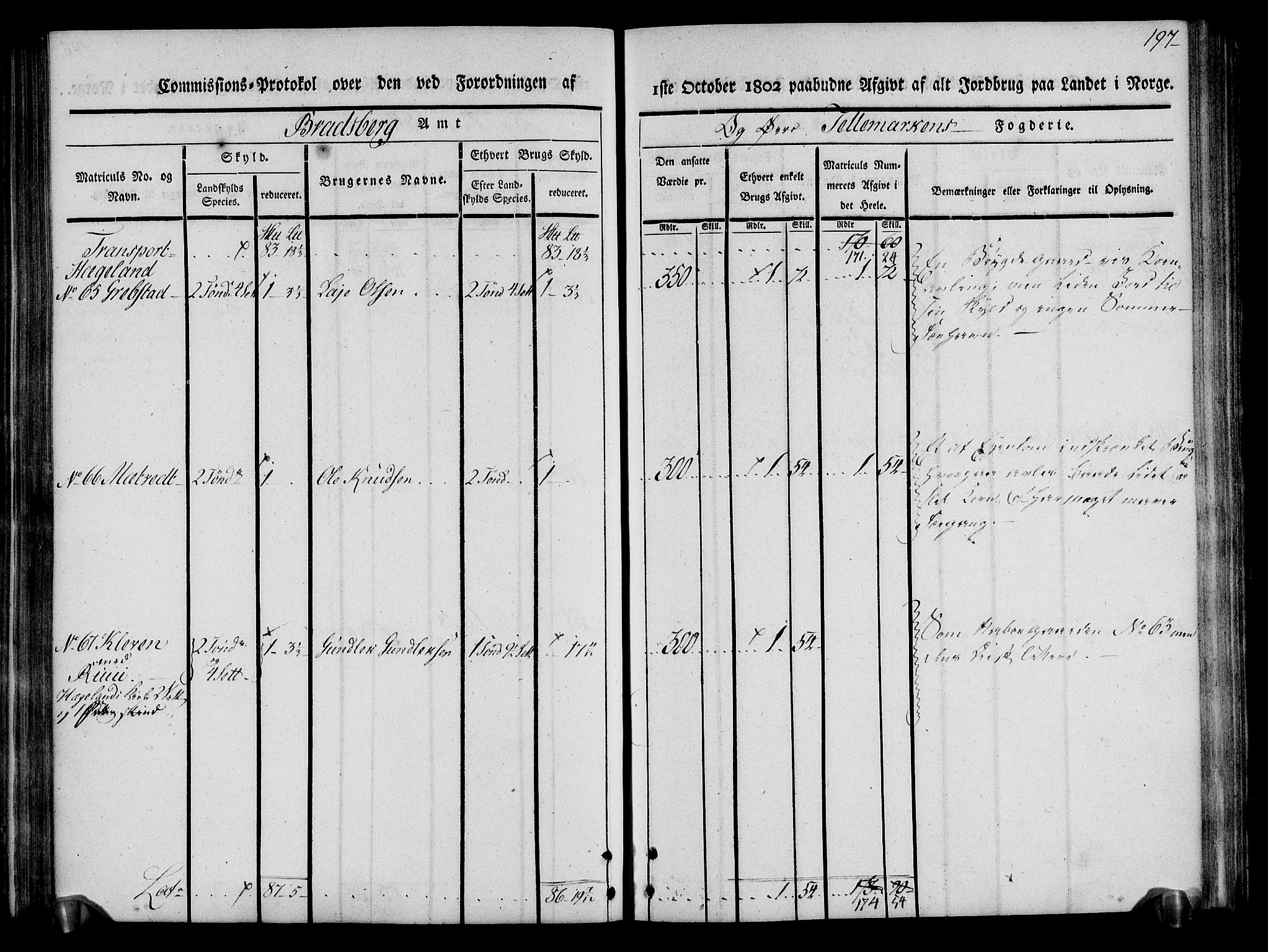 Rentekammeret inntil 1814, Realistisk ordnet avdeling, AV/RA-EA-4070/N/Ne/Nea/L0075: Øvre Telemarken fogderi. Kommisjonsprotokoll for fogderiets vestre del - Kviteseid, Vinje, Moland [):Fyresdal] og Lårdal prestegjeld., 1803, p. 199