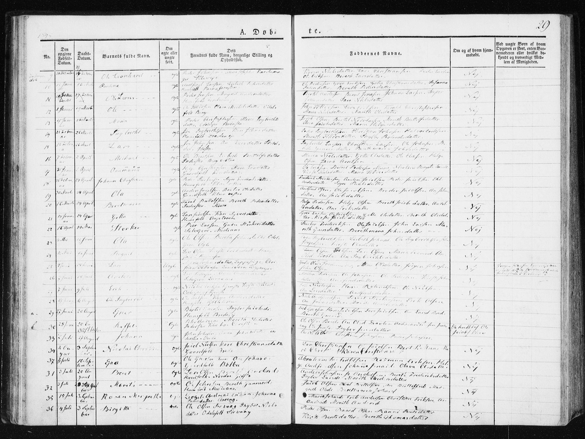 Ministerialprotokoller, klokkerbøker og fødselsregistre - Nord-Trøndelag, SAT/A-1458/749/L0470: Parish register (official) no. 749A04, 1834-1853, p. 29