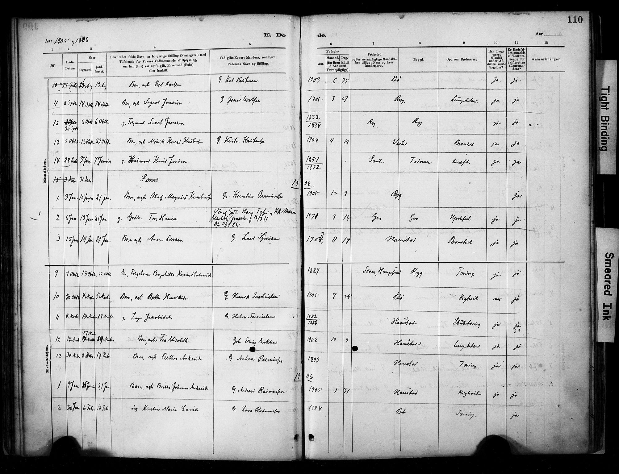 Hetland sokneprestkontor, SAST/A-101826/30/30BA/L0009: Parish register (official) no. A 9, 1882-1918, p. 110