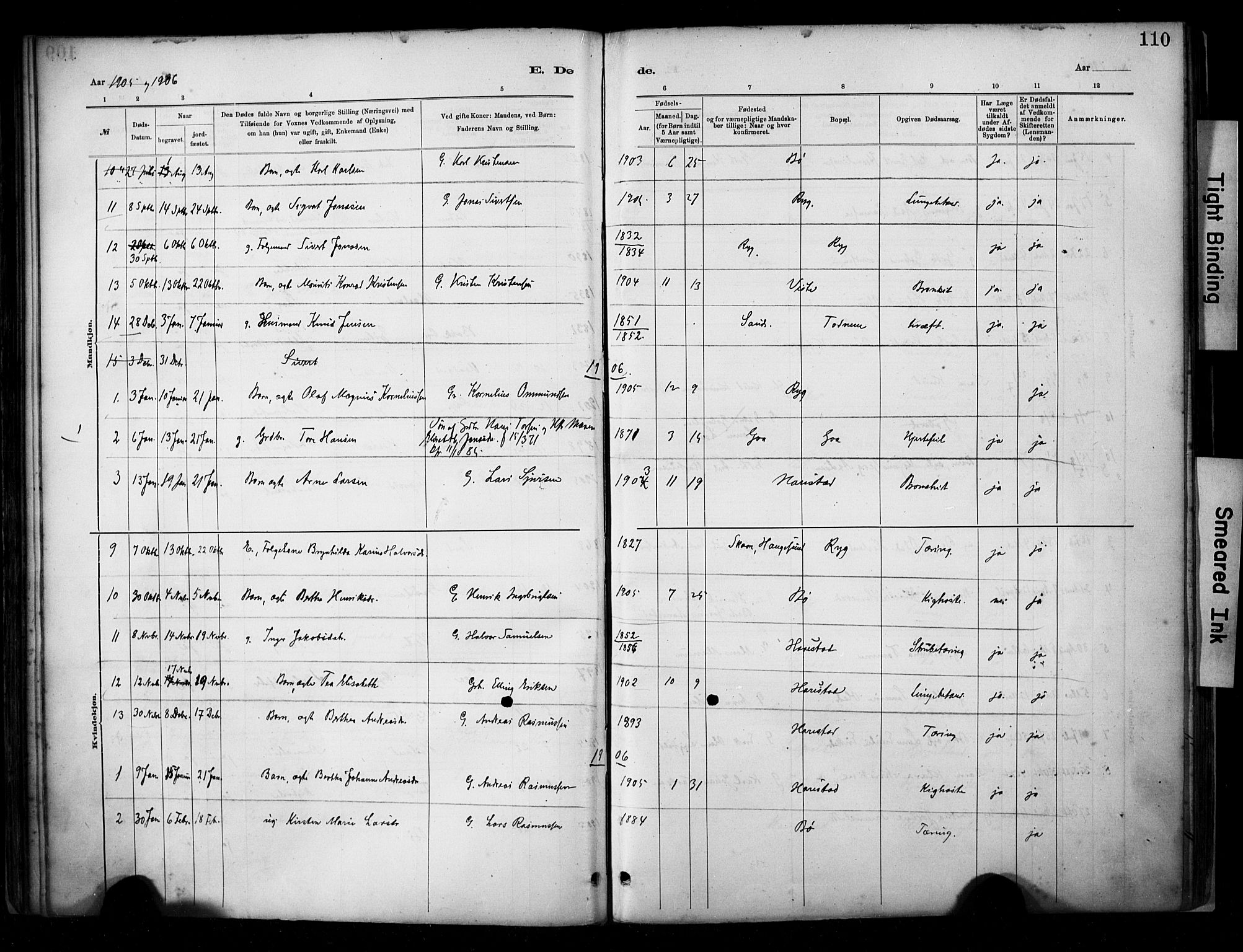 Hetland sokneprestkontor, AV/SAST-A-101826/30/30BA/L0009: Parish register (official) no. A 9, 1882-1918, p. 110