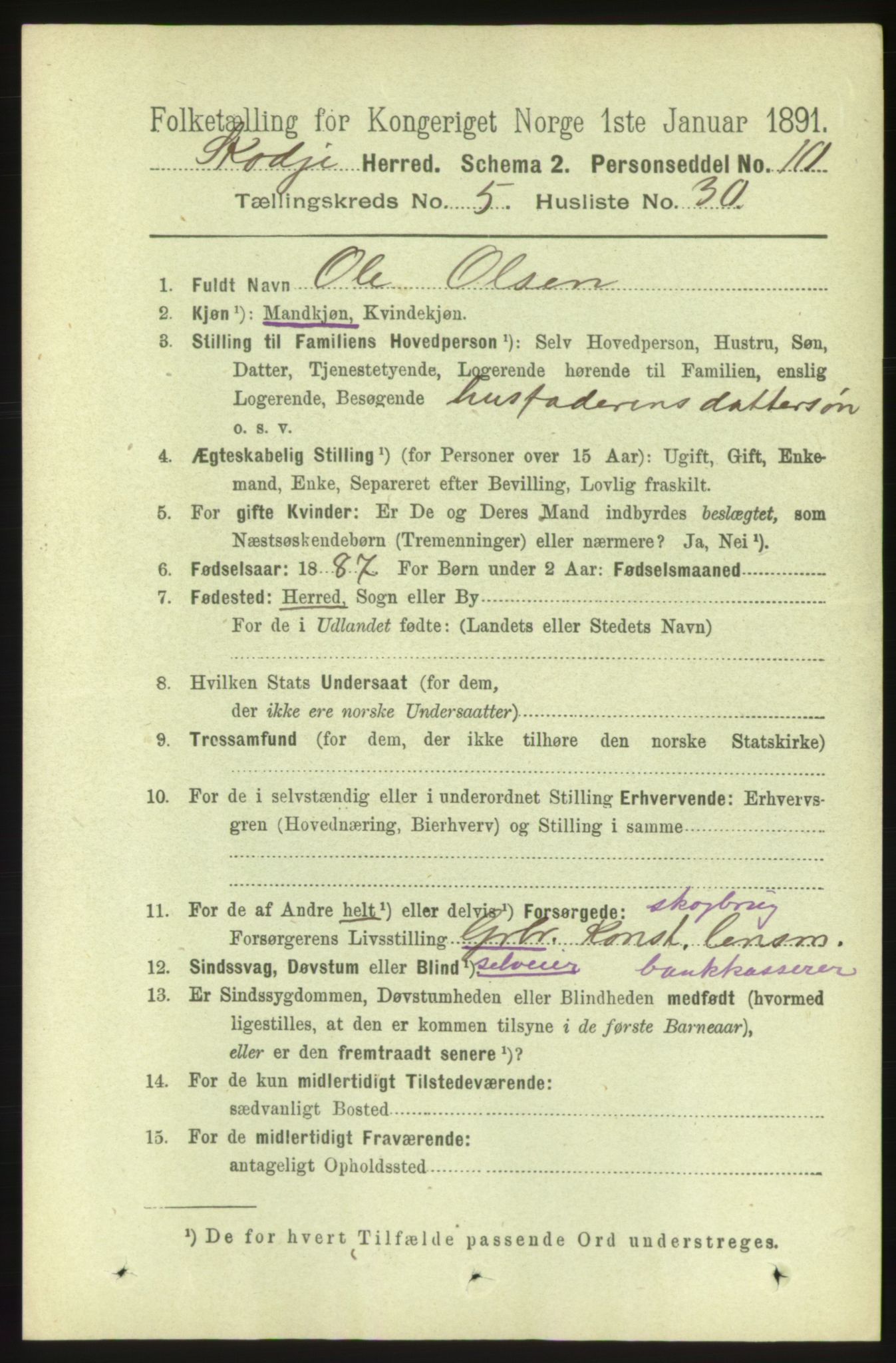 RA, 1891 census for 1529 Skodje, 1891, p. 1023