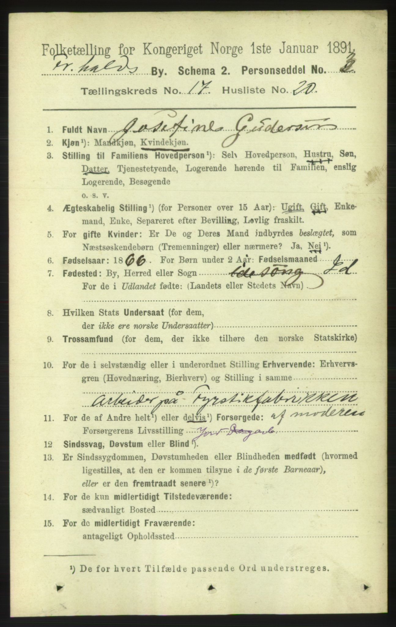 RA, 1891 census for 0101 Fredrikshald, 1891, p. 11206