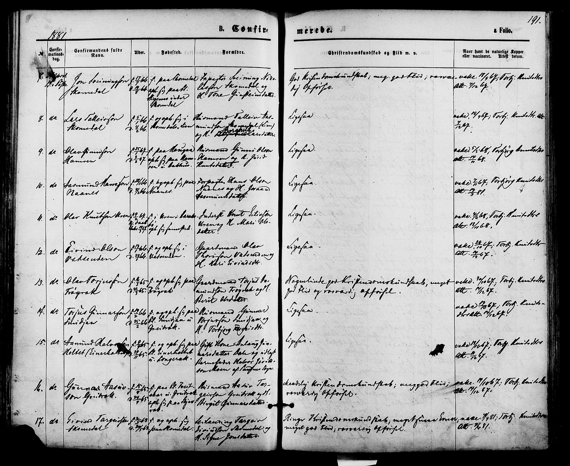 Bygland sokneprestkontor, AV/SAK-1111-0006/F/Fa/Fab/L0006: Parish register (official) no. A 6, 1873-1884, p. 191