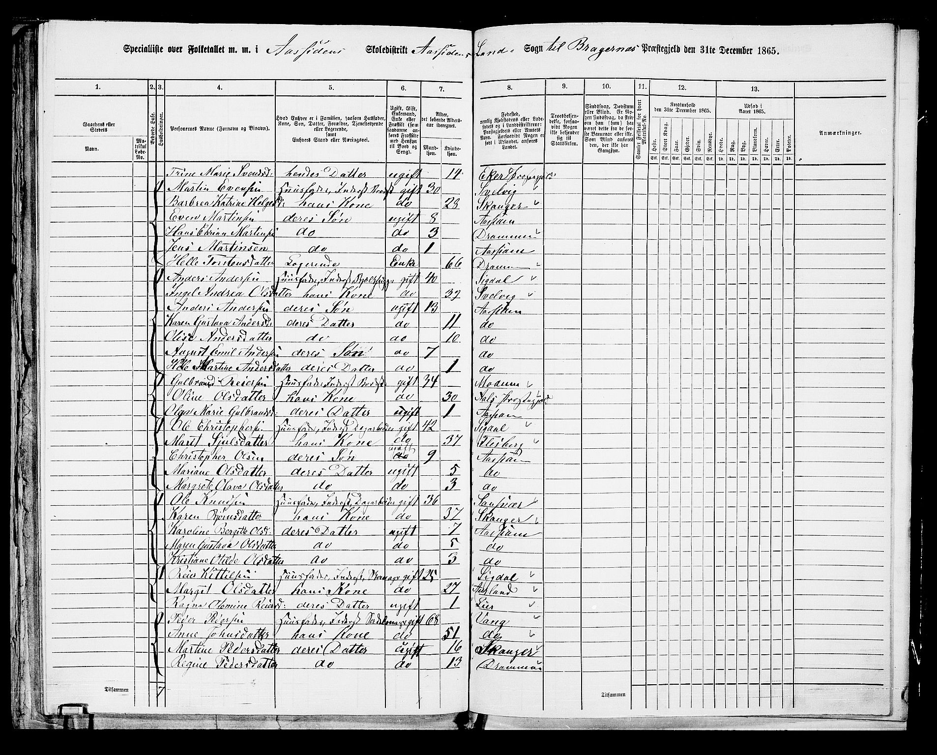 RA, 1865 census for Bragernes/Åssiden, 1865, p. 29