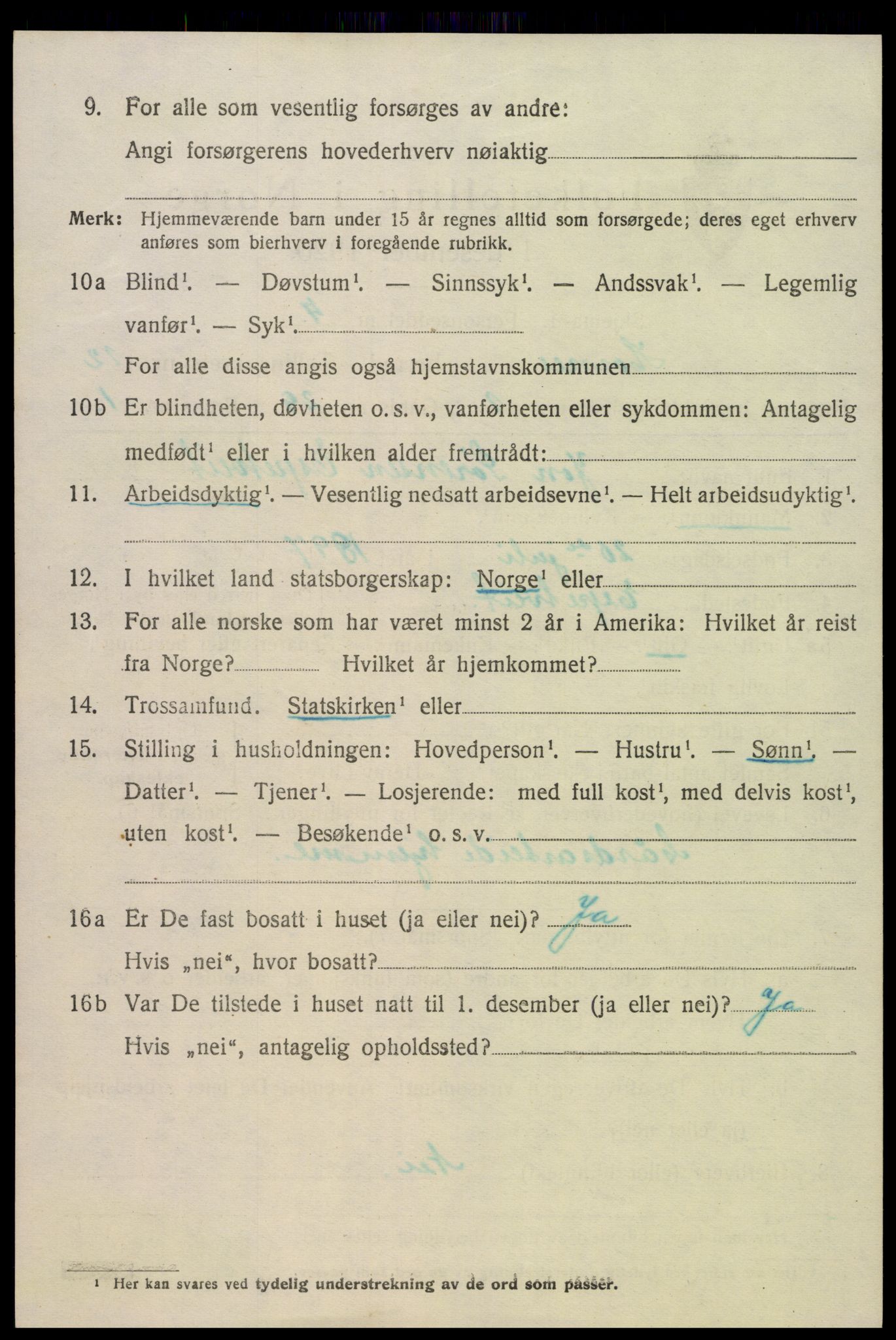 SAK, 1920 census for Hornnes, 1920, p. 2884