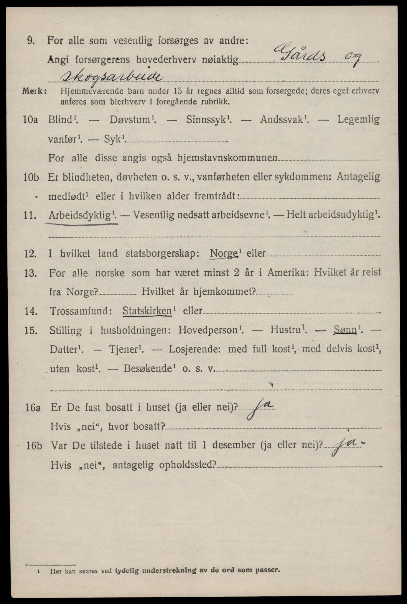 SAKO, 1920 census for Nissedal, 1920, p. 3922