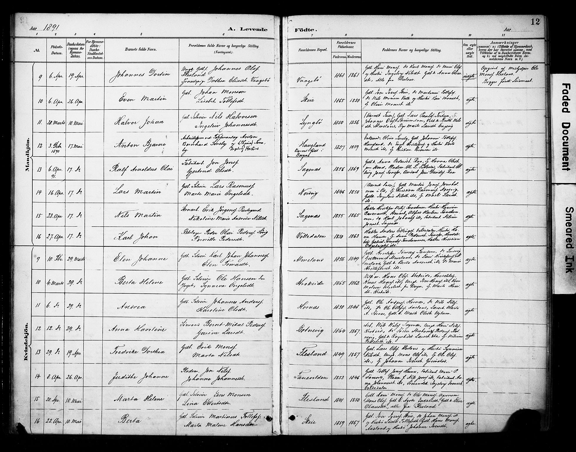 Fana Sokneprestembete, AV/SAB-A-75101/H/Haa/Haab/L0002: Parish register (official) no. B 2, 1890-1897, p. 12