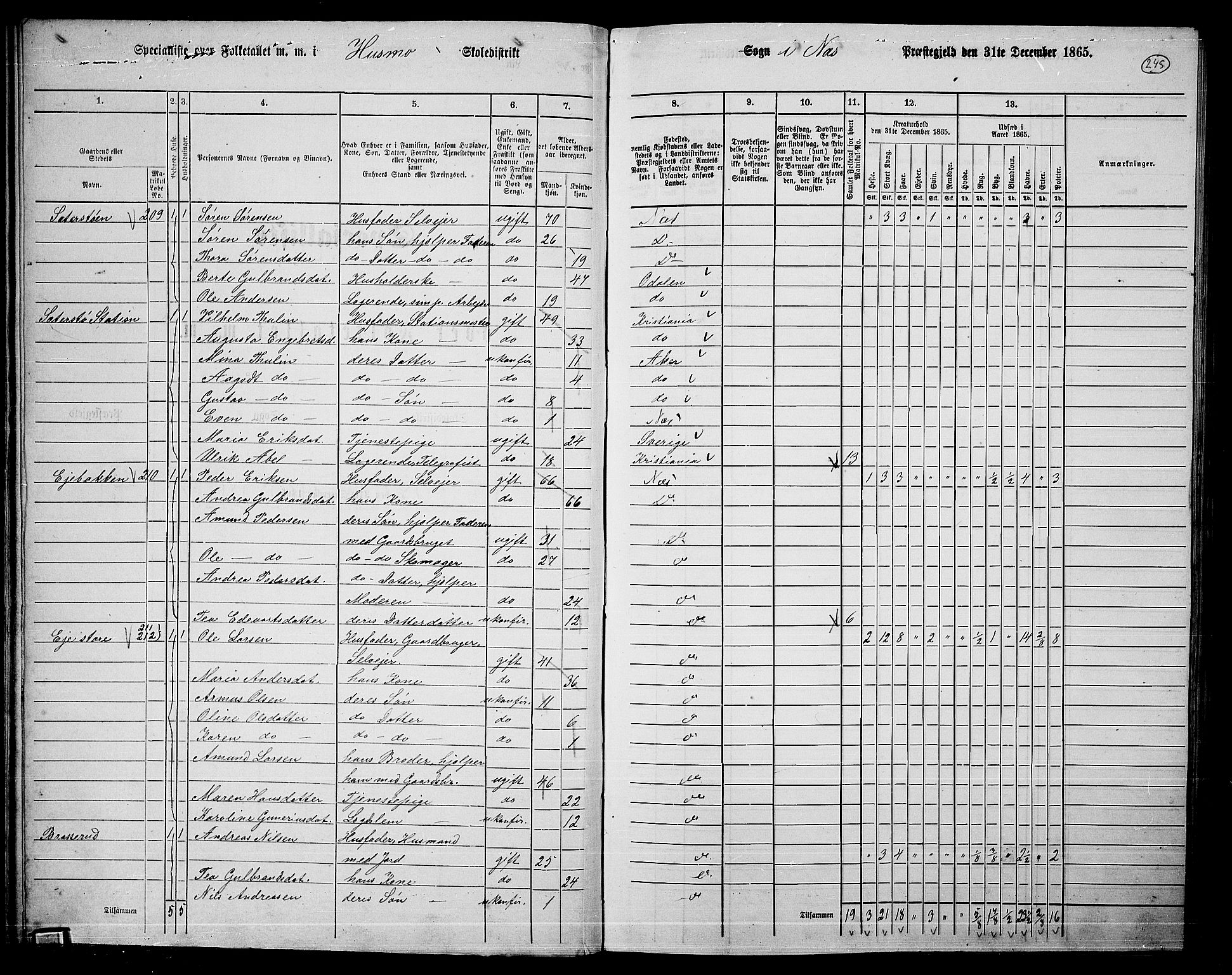 RA, 1865 census for Nes, 1865, p. 228