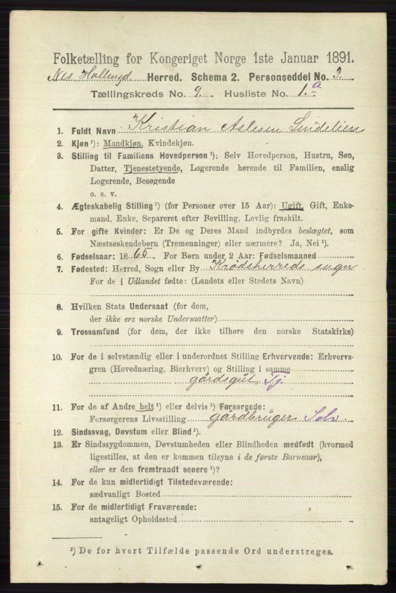 RA, 1891 census for 0616 Nes, 1891, p. 4339