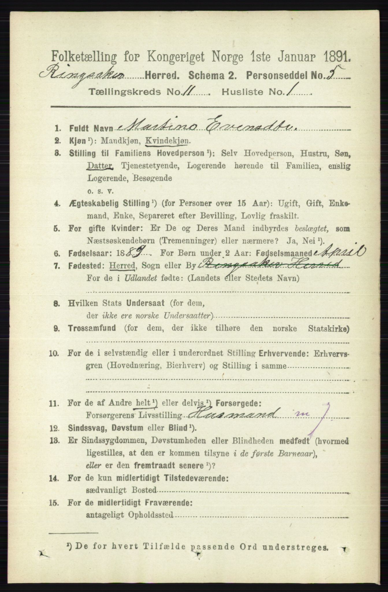 RA, 1891 census for 0412 Ringsaker, 1891, p. 6262