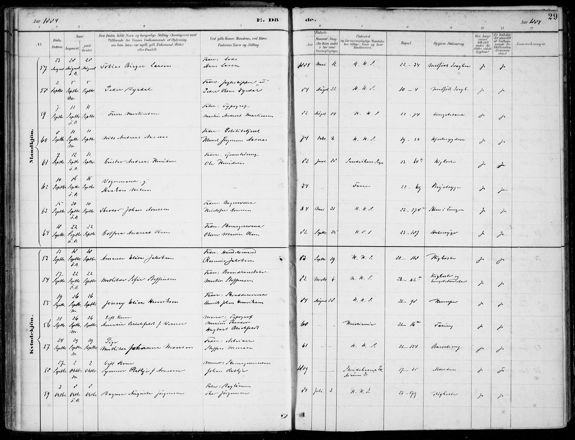 Korskirken sokneprestembete, AV/SAB-A-76101/H/Hab: Parish register (copy) no. E 4, 1884-1910, p. 29