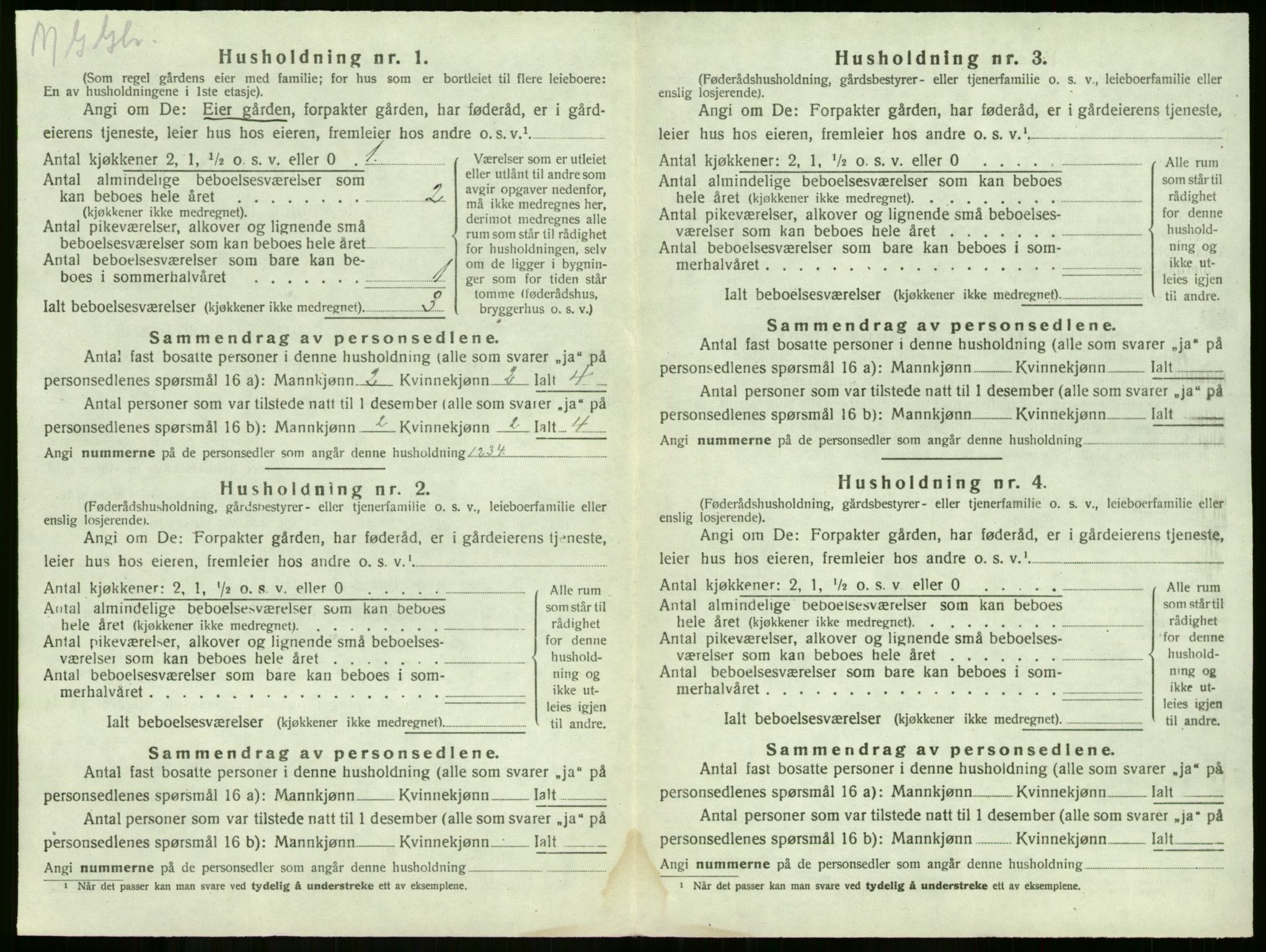 SAKO, 1920 census for Våle, 1920, p. 205