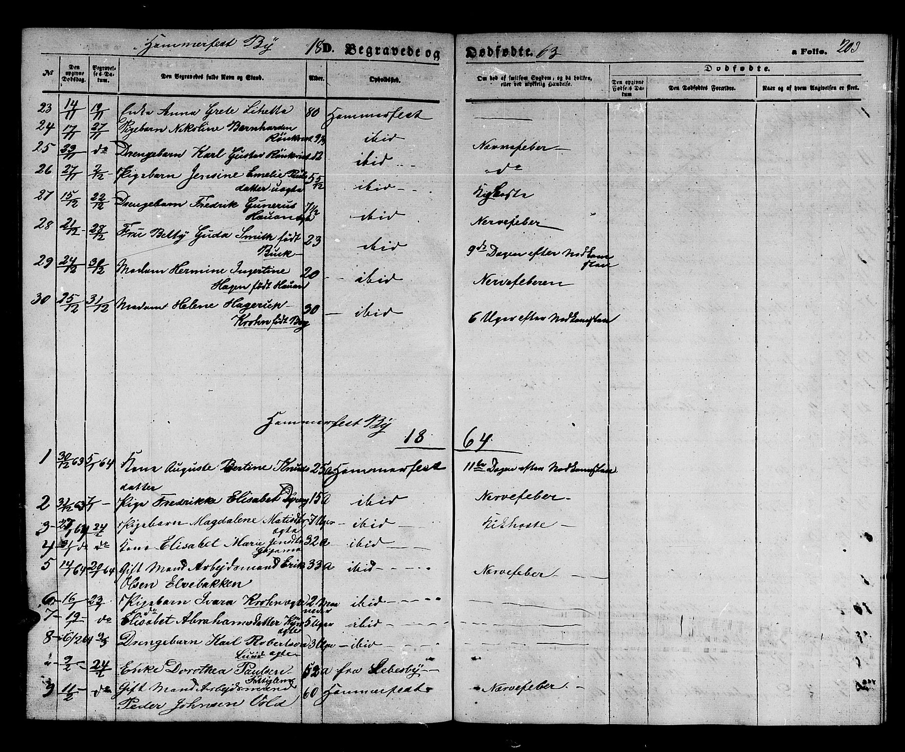 Hammerfest sokneprestkontor, AV/SATØ-S-1347/H/Hb/L0003.klokk: Parish register (copy) no. 3 /1, 1862-1868, p. 203