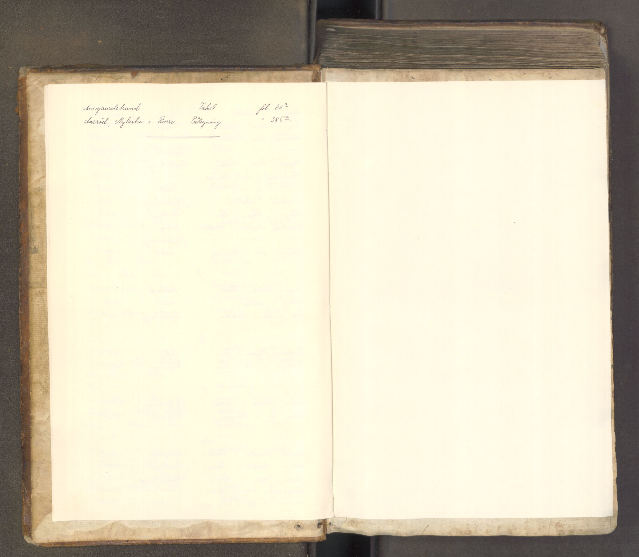 Søndre Jarlsberg sorenskriveri, AV/SAKO-A-129/F/Fa/L0027: Tingbok, 1807-1811