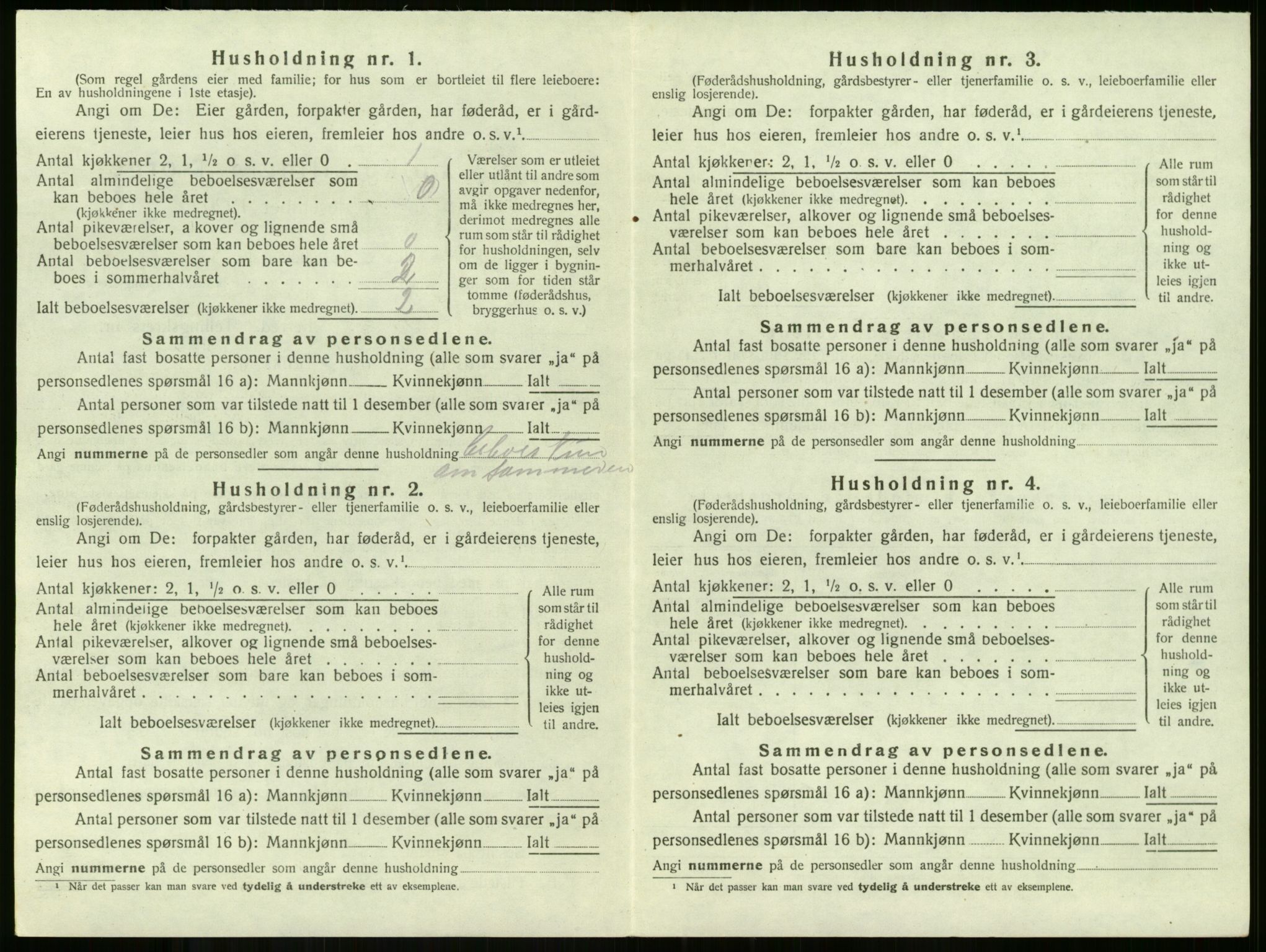 SAKO, 1920 census for Borre, 1920, p. 980