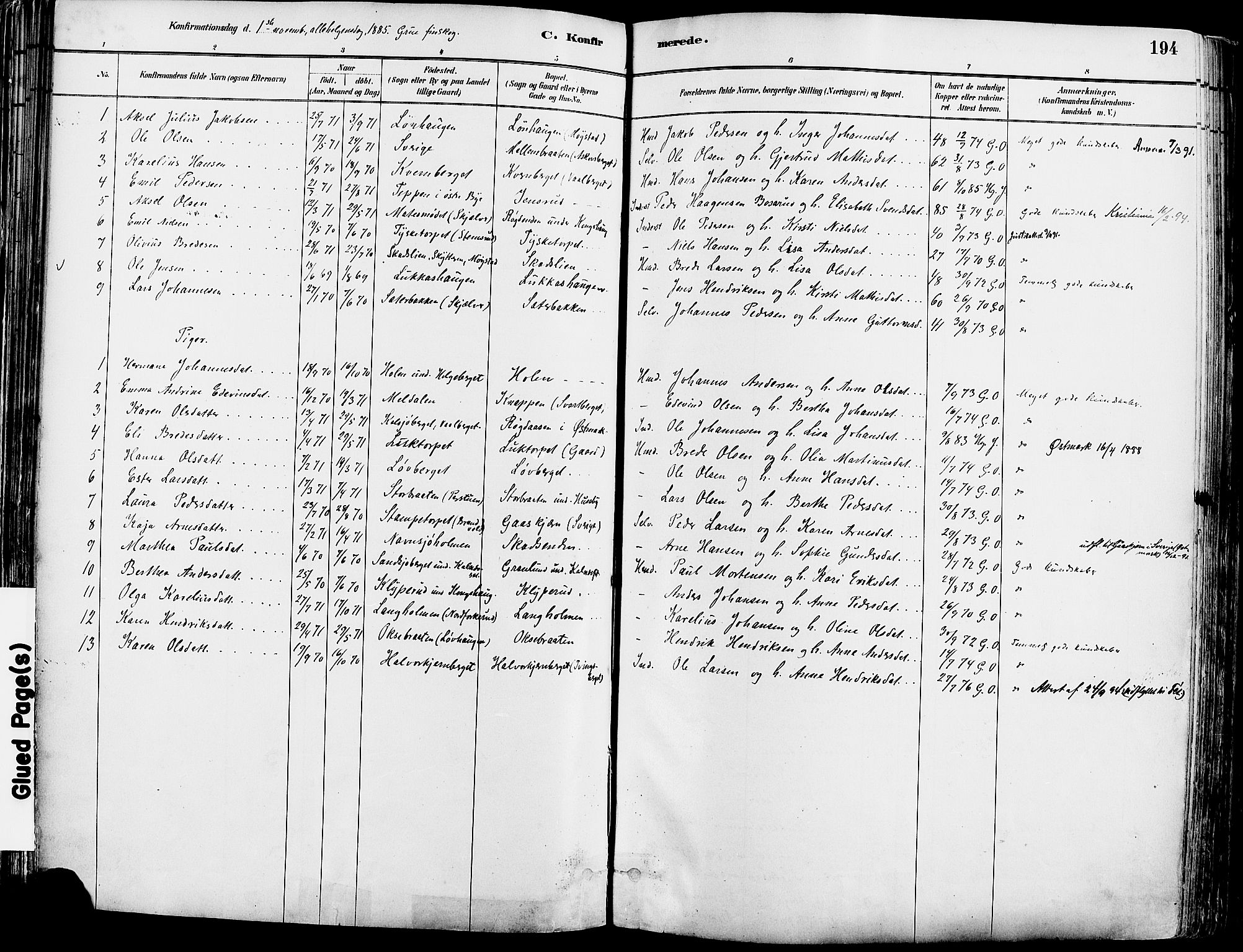 Grue prestekontor, AV/SAH-PREST-036/H/Ha/Haa/L0012: Parish register (official) no. 12, 1881-1897, p. 194