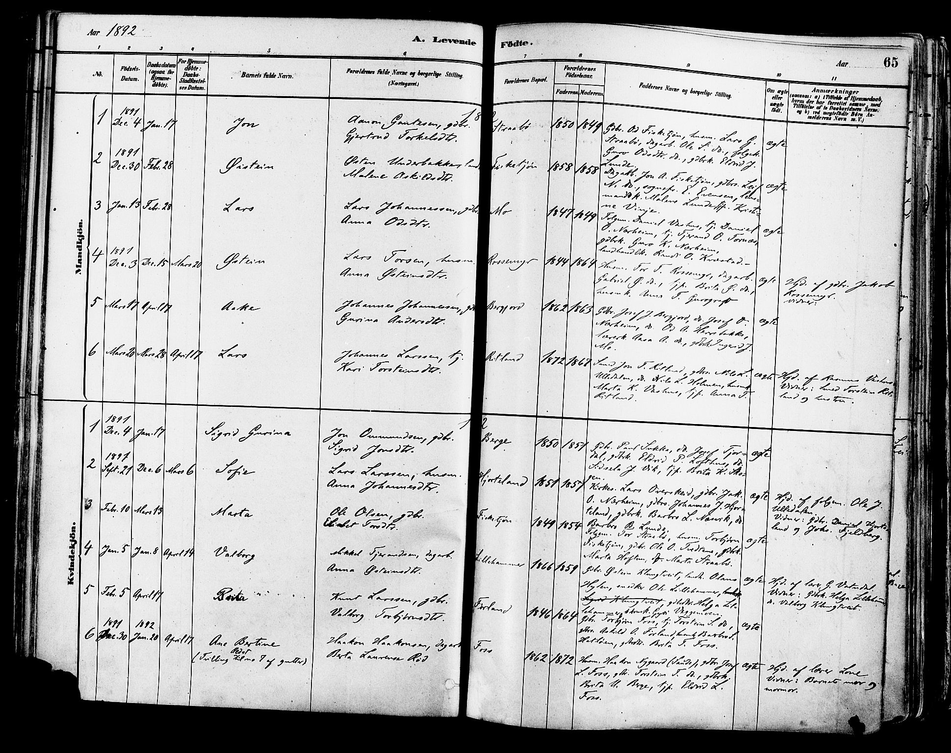 Suldal sokneprestkontor, AV/SAST-A-101845/01/IV/L0011: Parish register (official) no. A 11, 1878-1900, p. 65