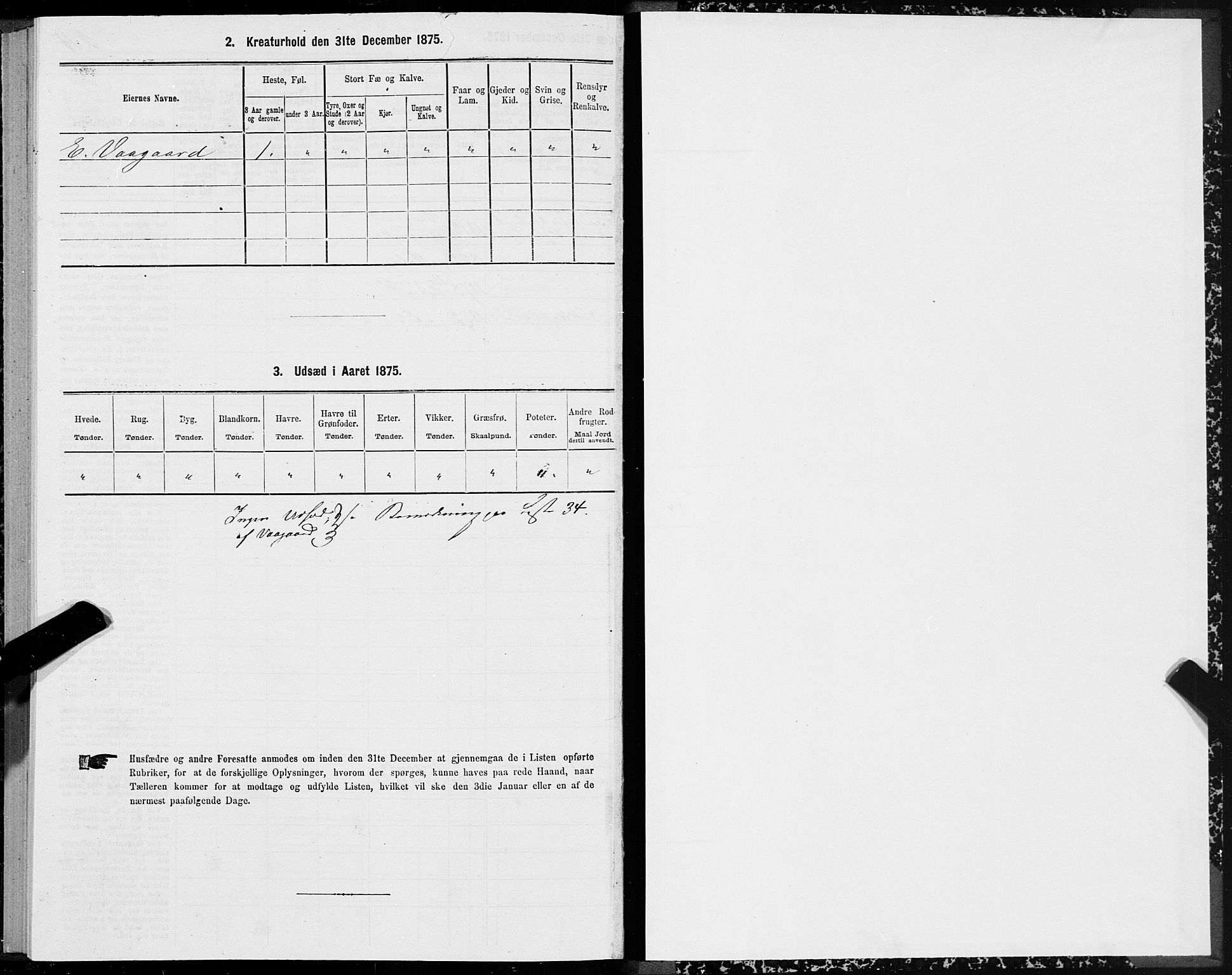 SAT, 1875 census for 1531P Borgund, 1875