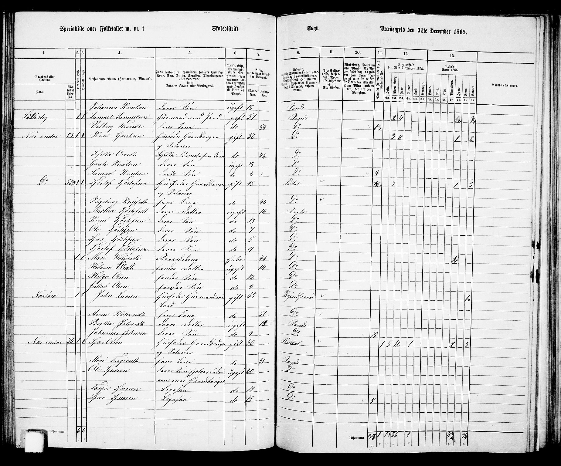 RA, 1865 census for Sand, 1865, p. 104