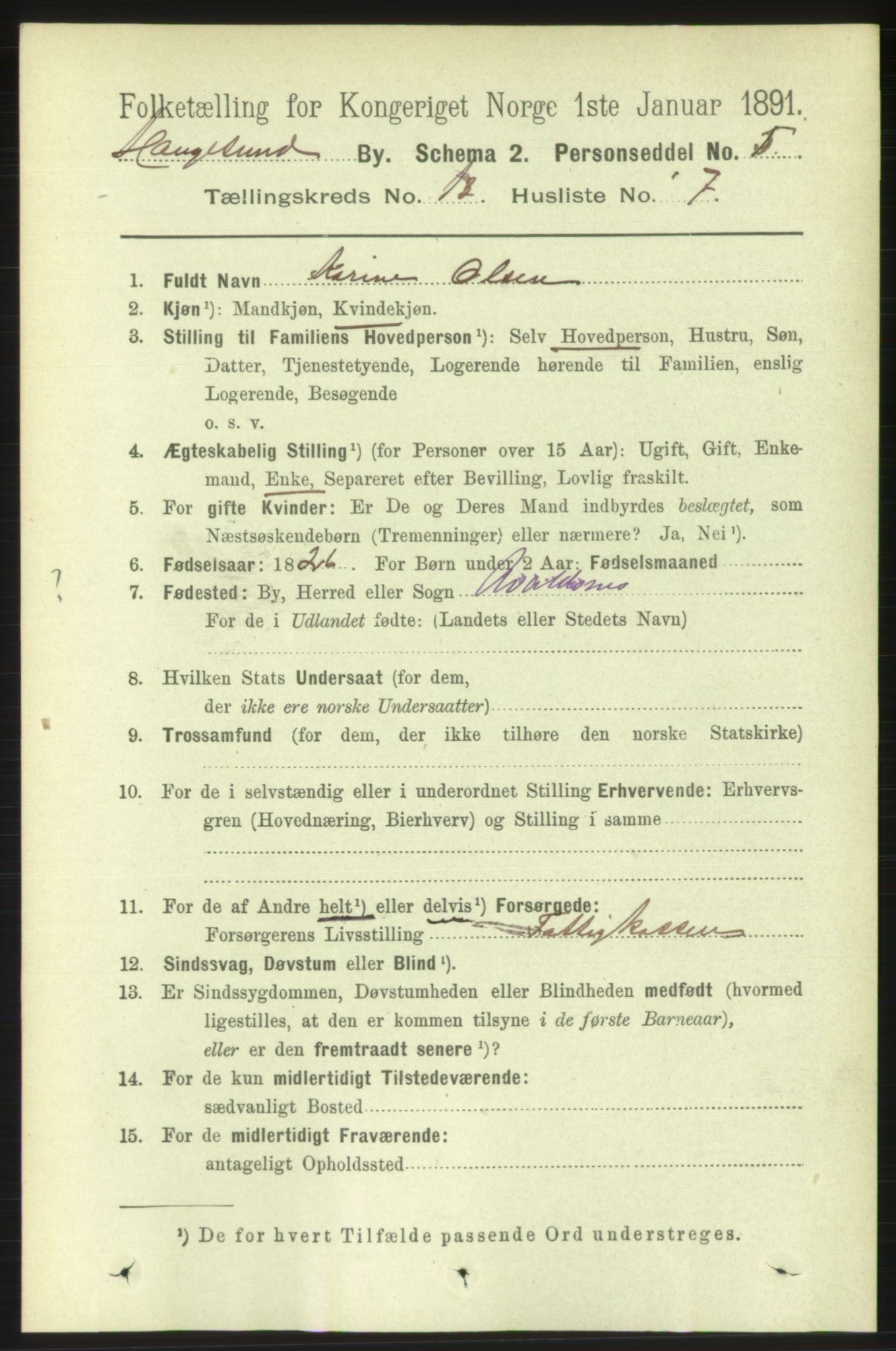 RA, 1891 census for 1106 Haugesund, 1891, p. 4403