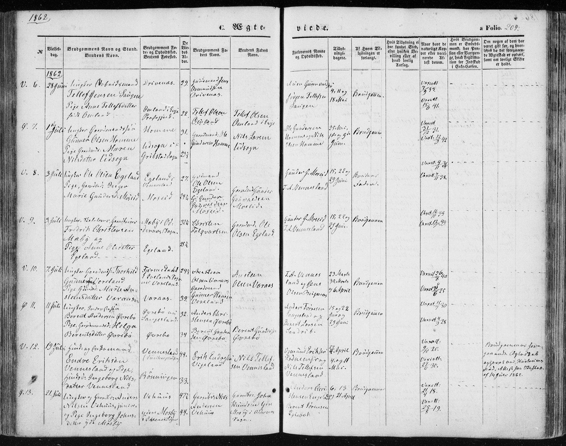 Vennesla sokneprestkontor, AV/SAK-1111-0045/Fa/Fac/L0007: Parish register (official) no. A 7, 1855-1873, p. 204