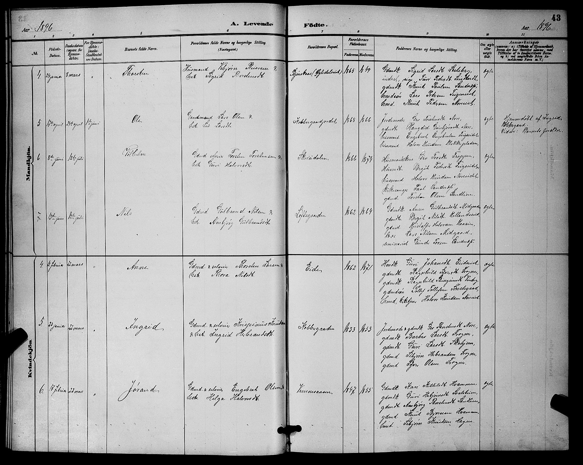Nore kirkebøker, SAKO/A-238/G/Ga/L0003: Parish register (copy) no. I 3, 1886-1903, p. 43