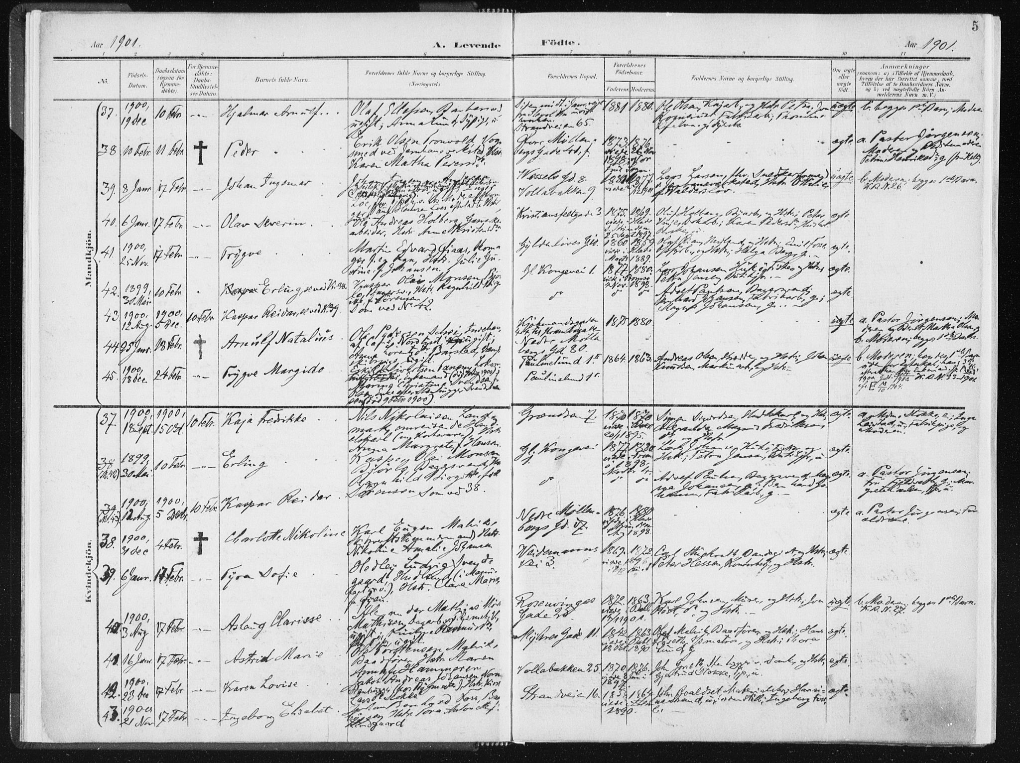 Ministerialprotokoller, klokkerbøker og fødselsregistre - Sør-Trøndelag, AV/SAT-A-1456/604/L0199: Parish register (official) no. 604A20I, 1901-1906, p. 5