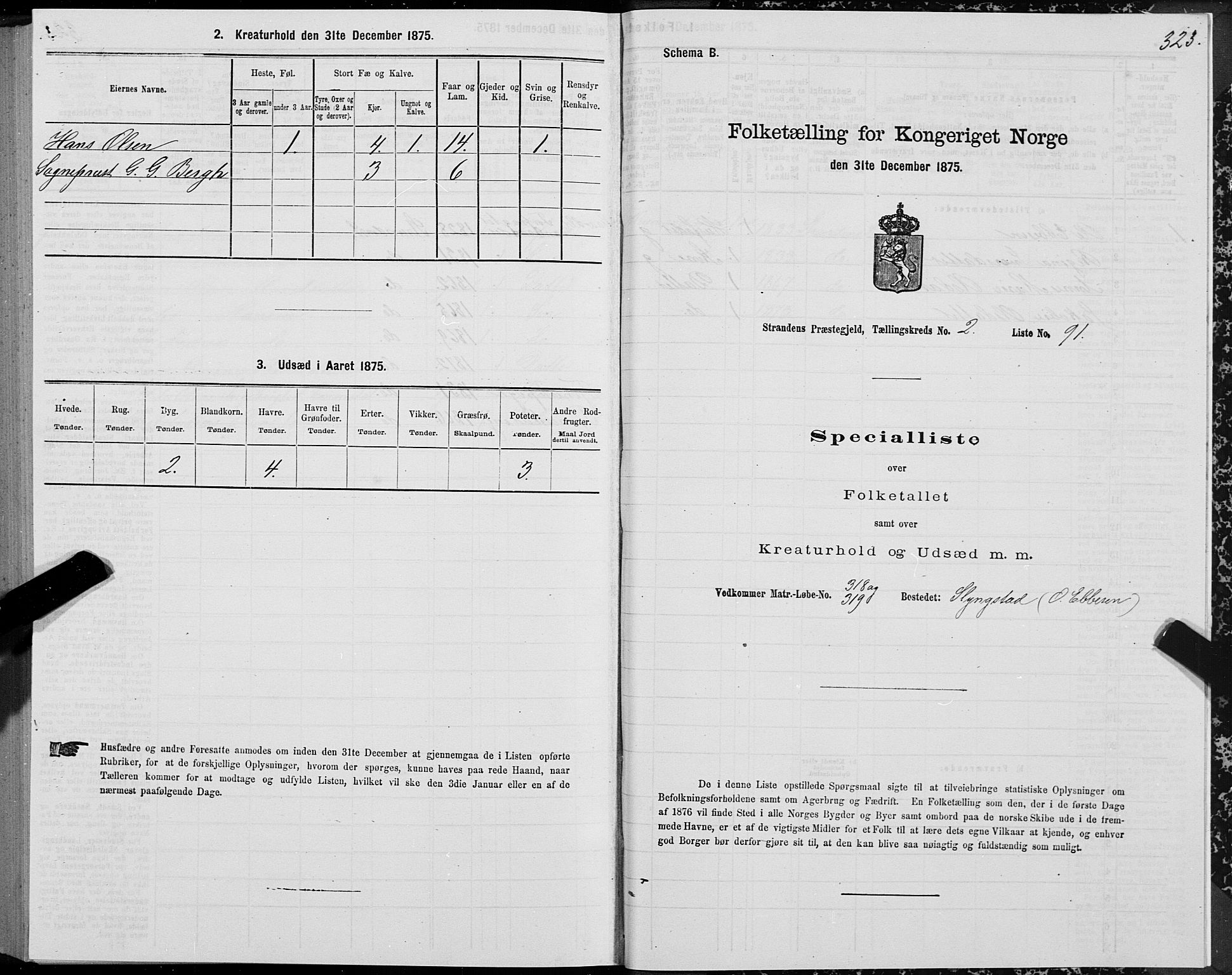 SAT, 1875 census for 1525P Stranda, 1875, p. 1323