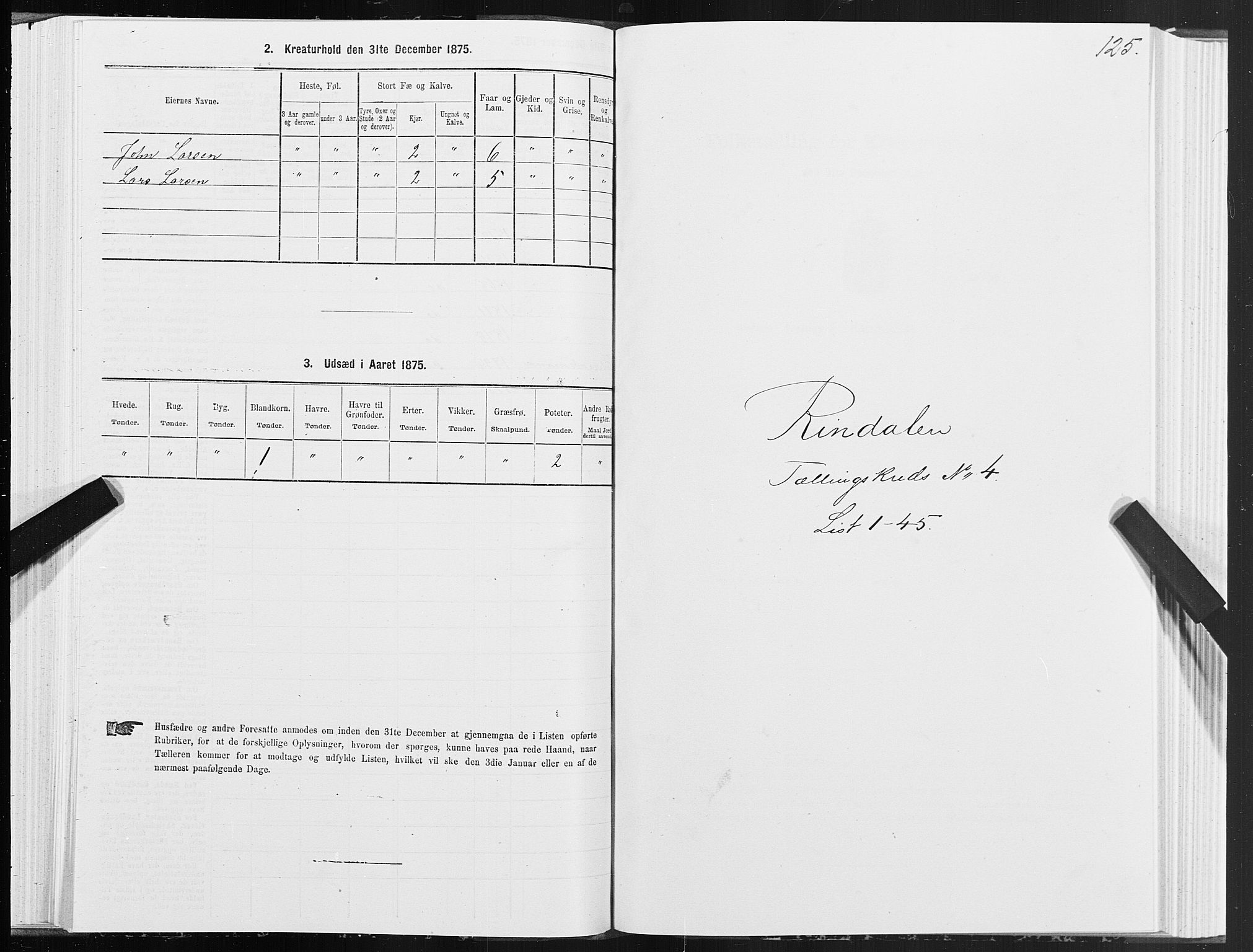 SAT, 1875 census for 1567P Rindal, 1875, p. 2125