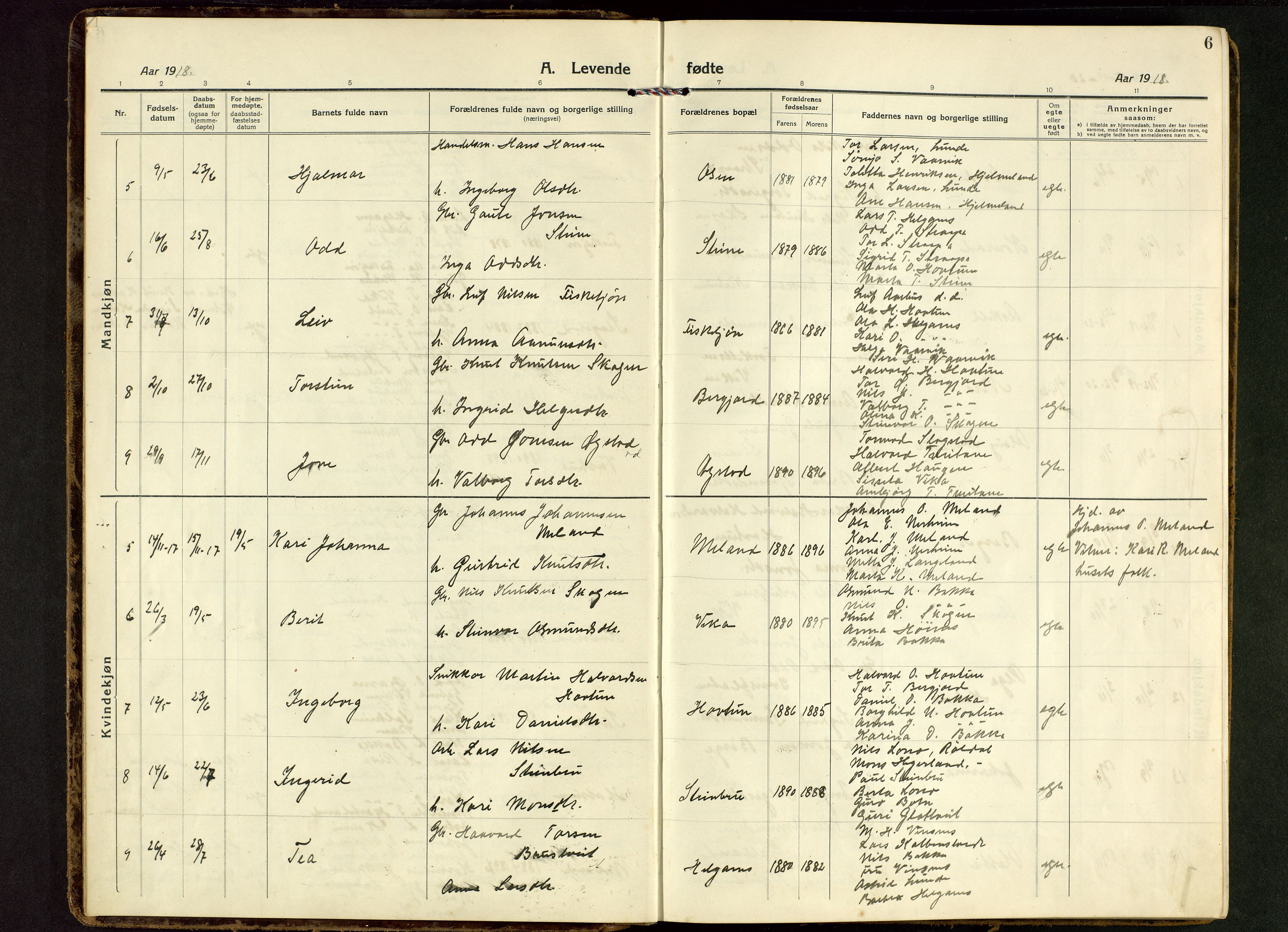 Suldal sokneprestkontor, AV/SAST-A-101845/01/V/L0007: Parish register (copy) no. B 7, 1917-1946, p. 6