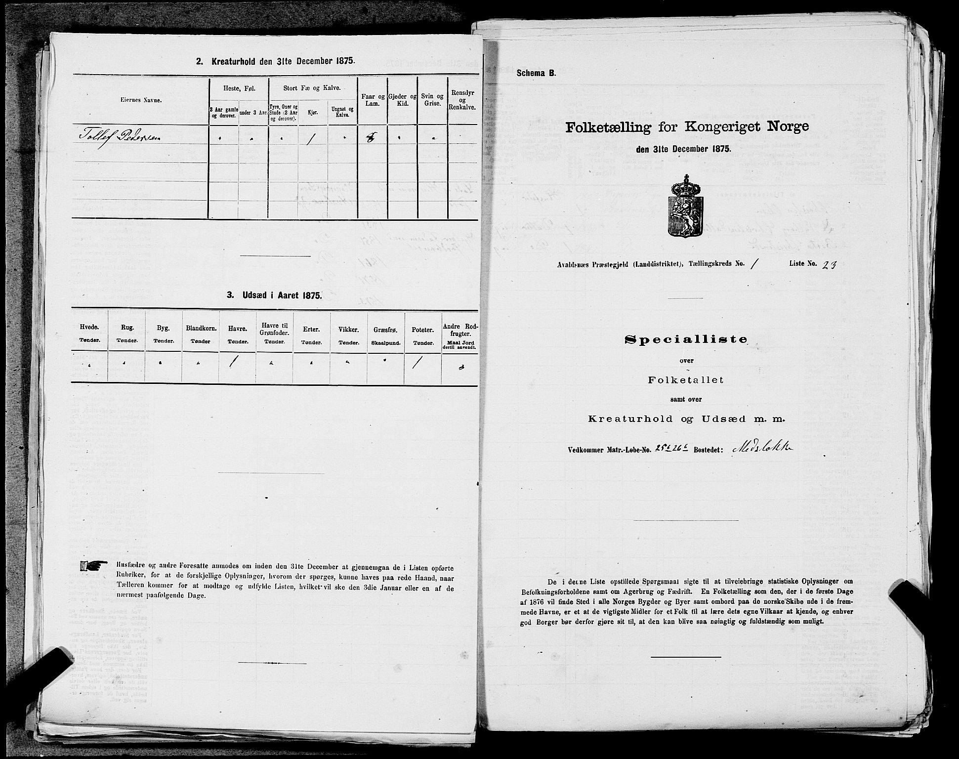 SAST, 1875 census for 1147L Avaldsnes/Avaldsnes og Kopervik, 1875, p. 112