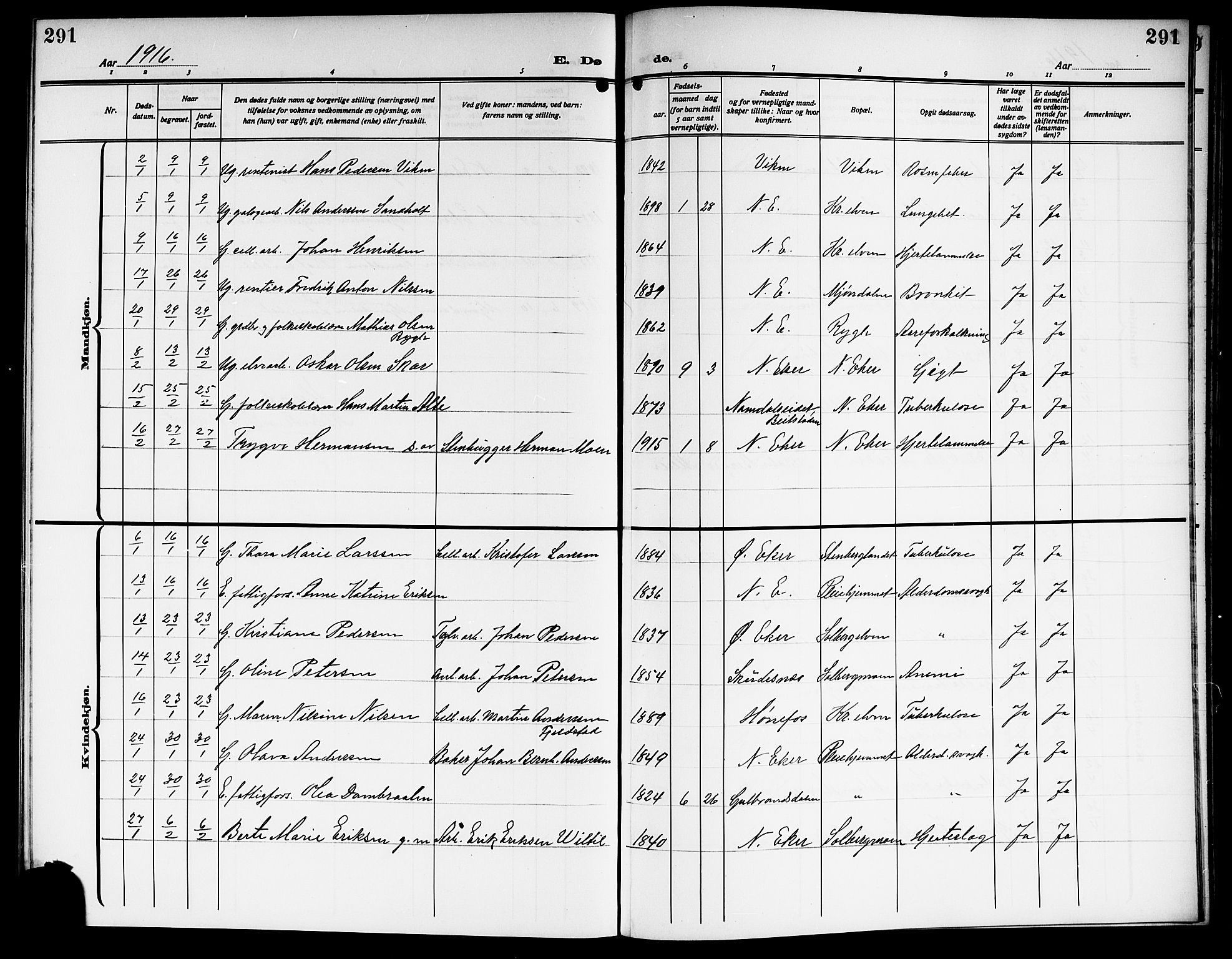 Nedre Eiker kirkebøker, SAKO/A-612/G/Ga/L0005: Parish register (copy) no. 5, 1913-1921, p. 291